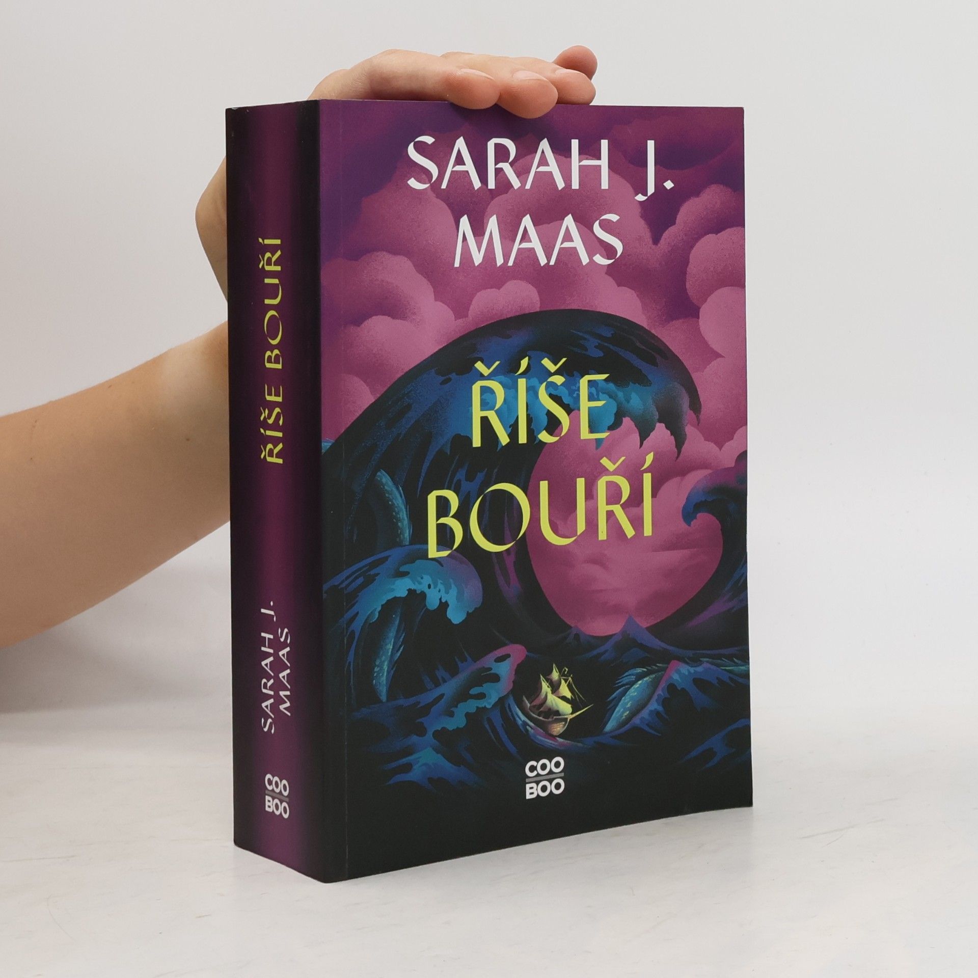 Sarah J. Maas Říše bouří
