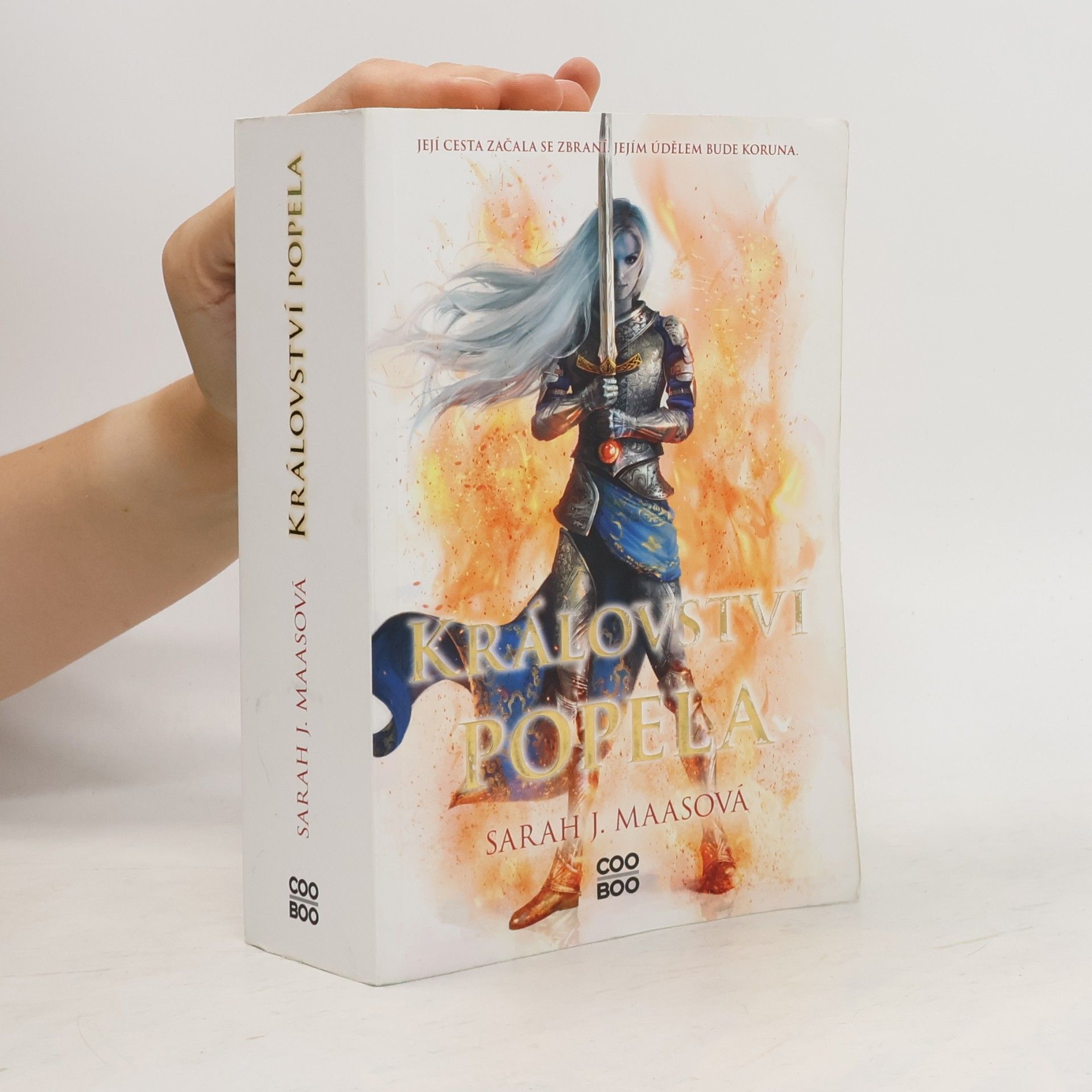 Sarah J. Maasová Království popela