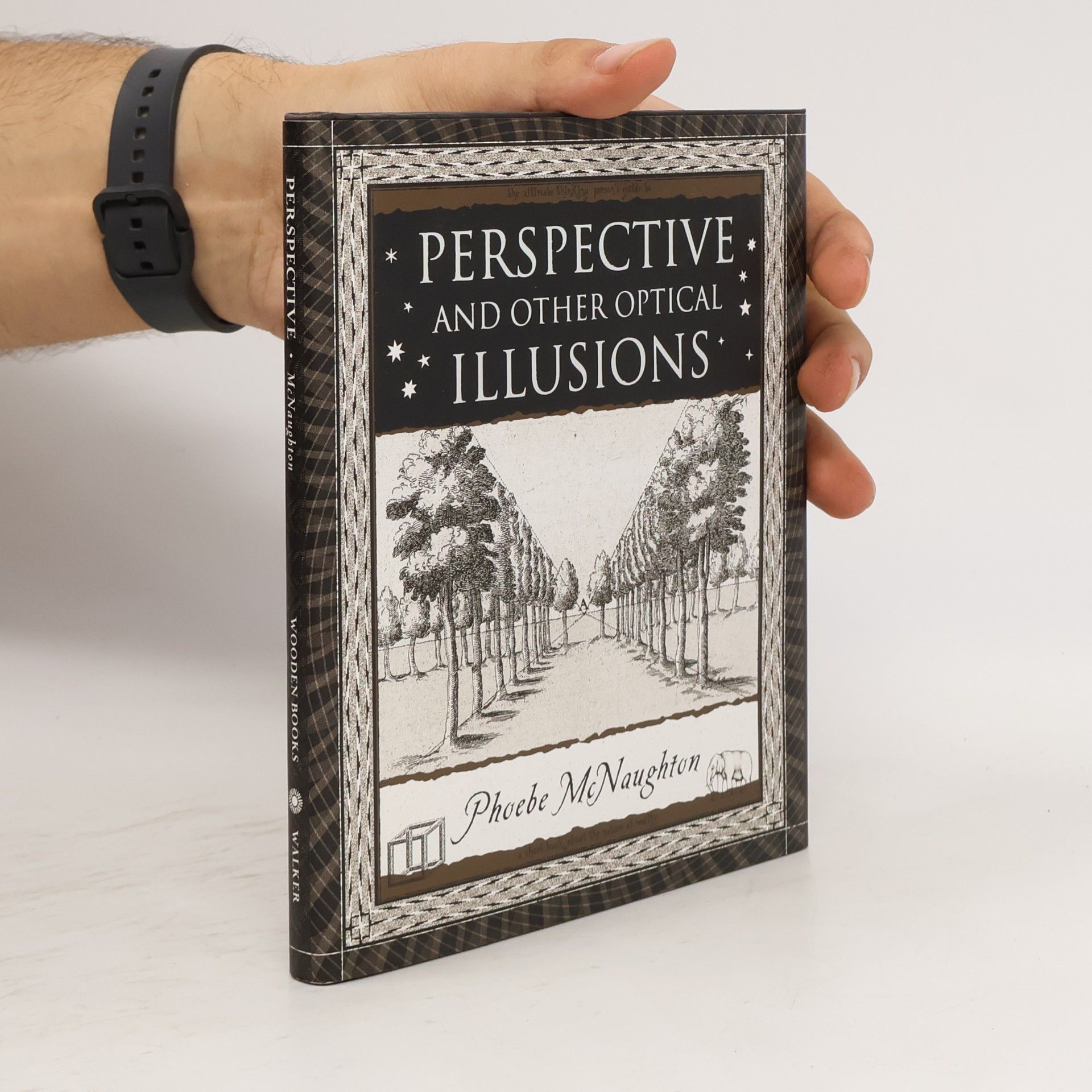Phoebe McNaughton Wooden Books: Perspective and Other Optical Illusions