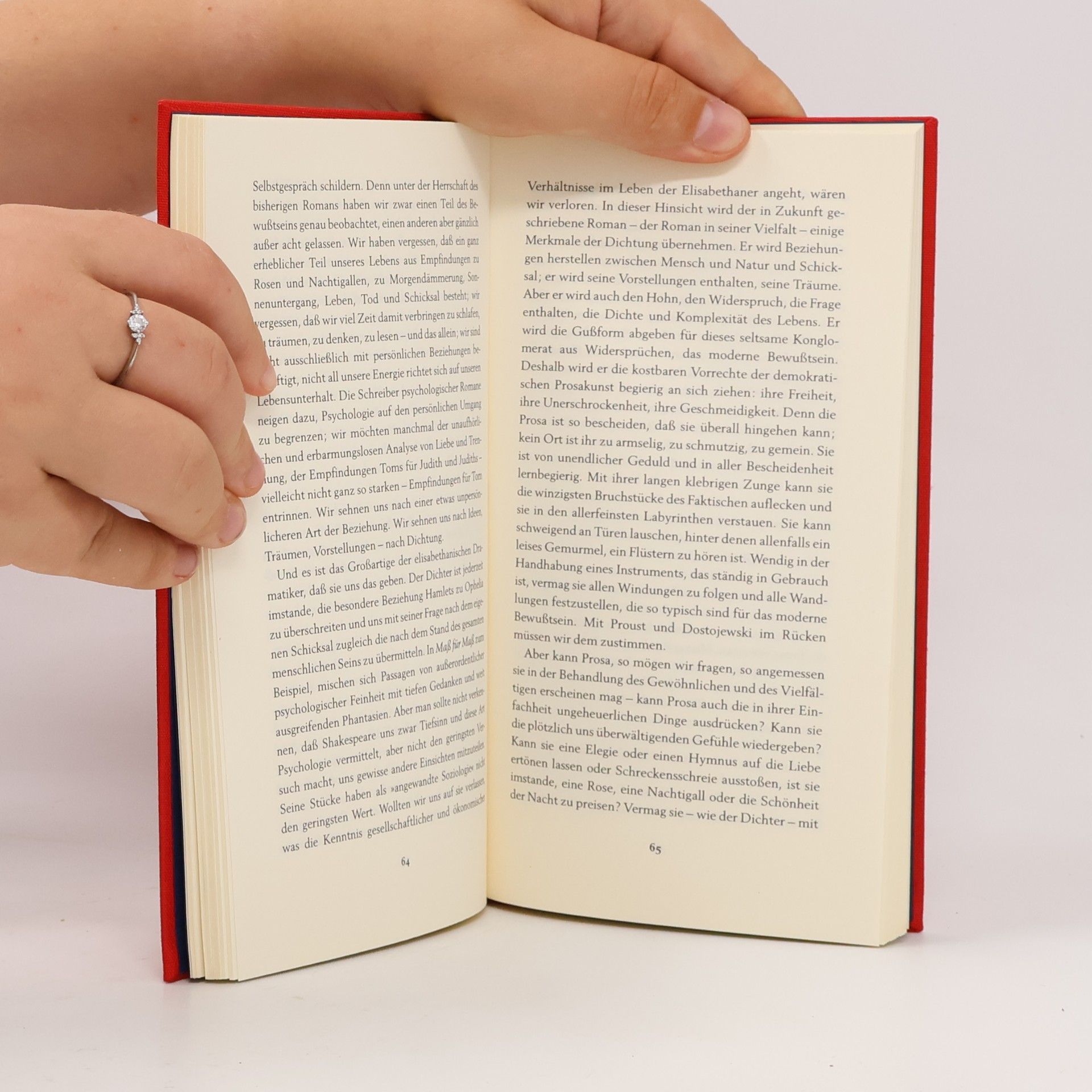 Virginia Woolf Die schmale Brücke der Kunst