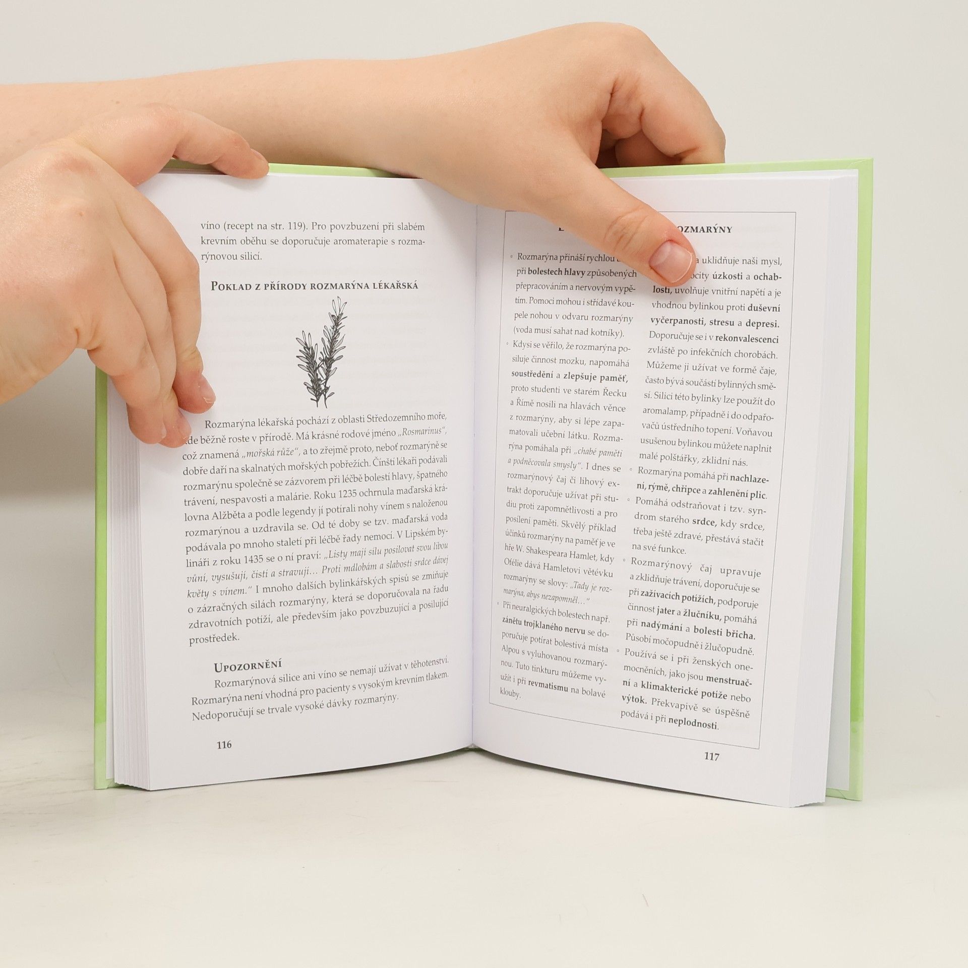 Jarmila Mandžuková Bylinky : léčivá moc přírody