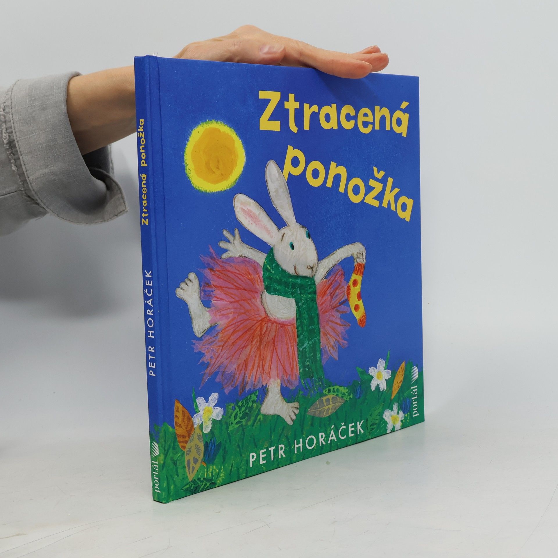 Ztracená ponožka