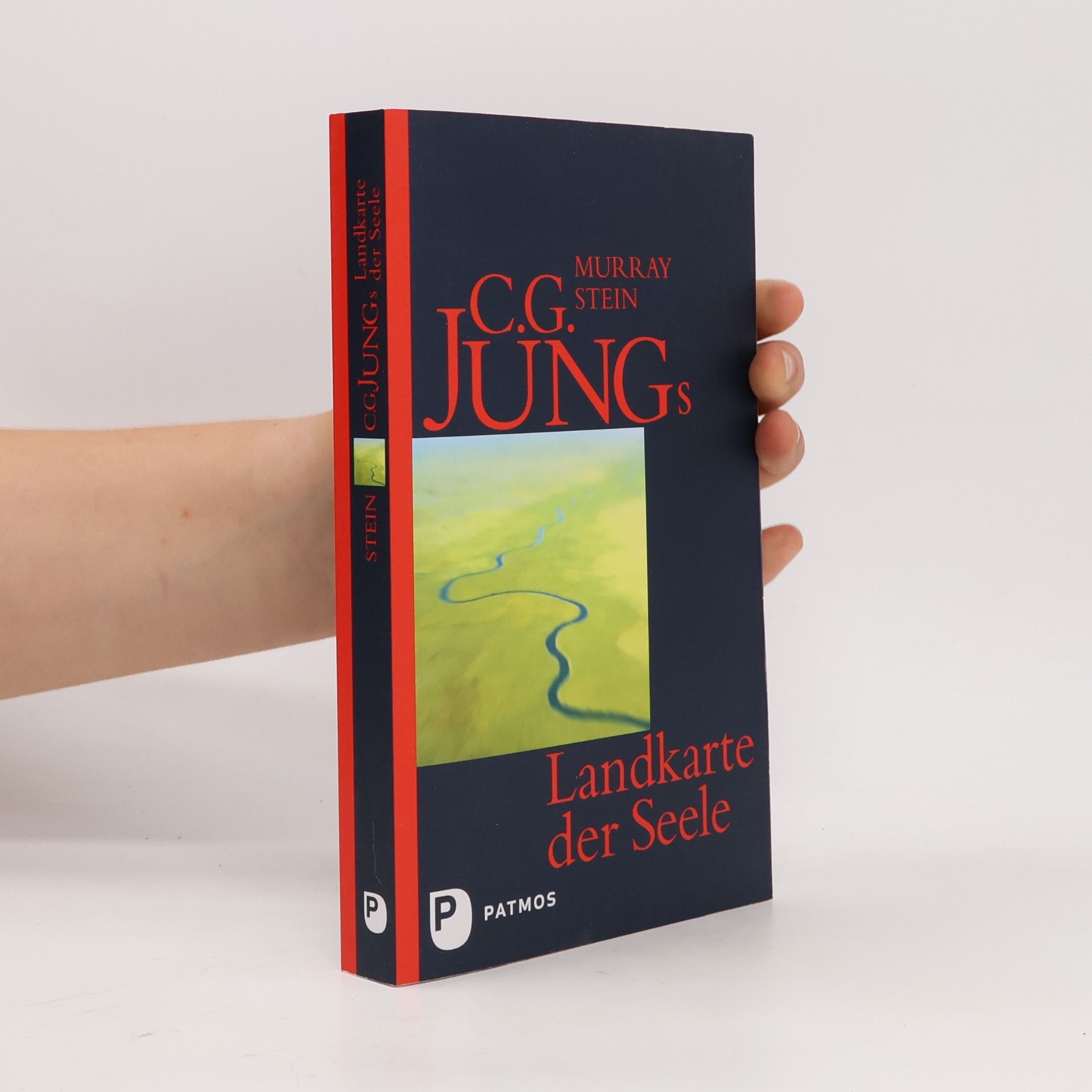 Murray B. Stein C. G. Jungs Landkarte der Seele