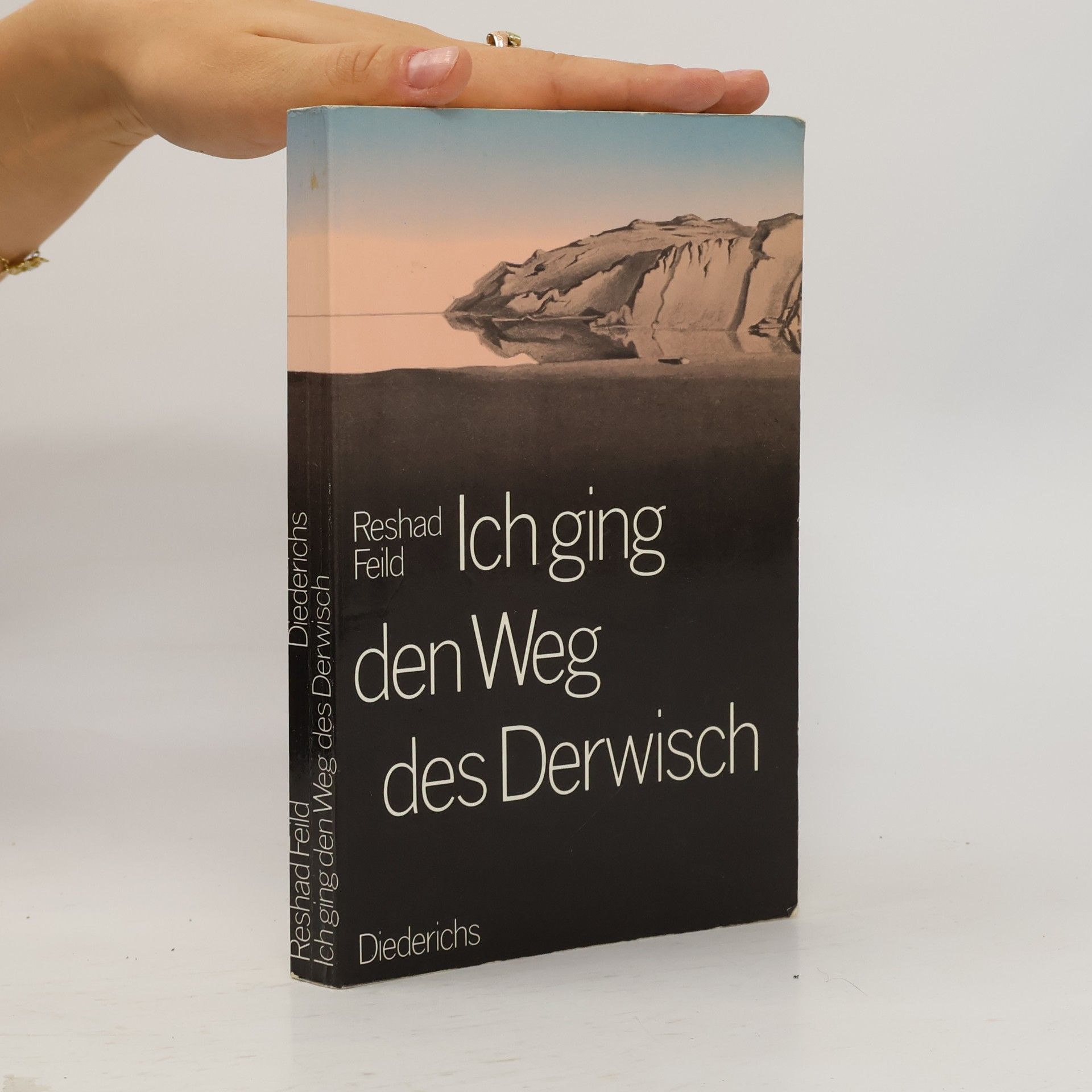 Reshad Feild Ich ging den Weg des Derwisch