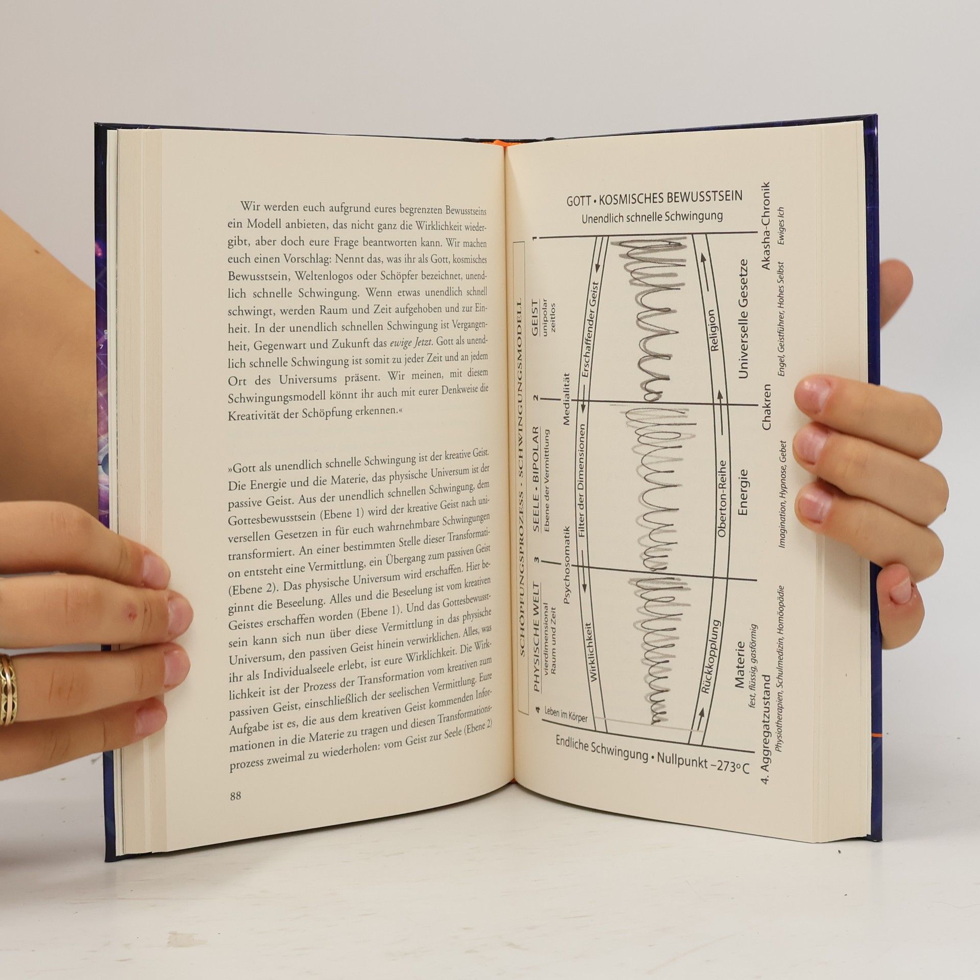 Horst Krohne Die 12 Programme des Bewusstseins