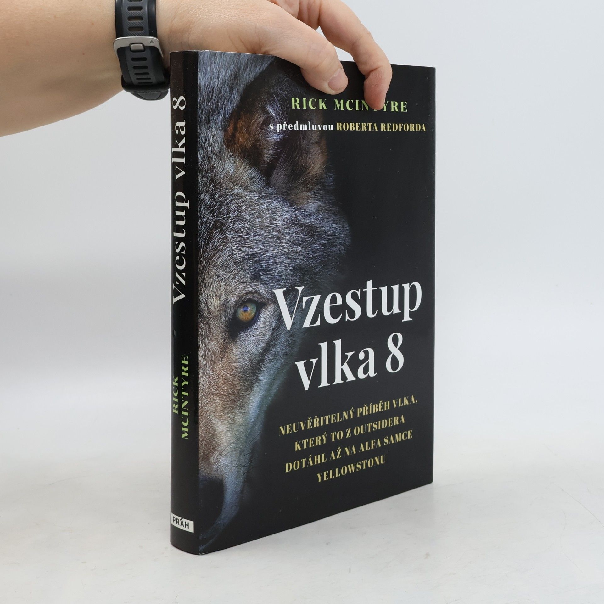 Rick McIntyre Vzestup vlka 8