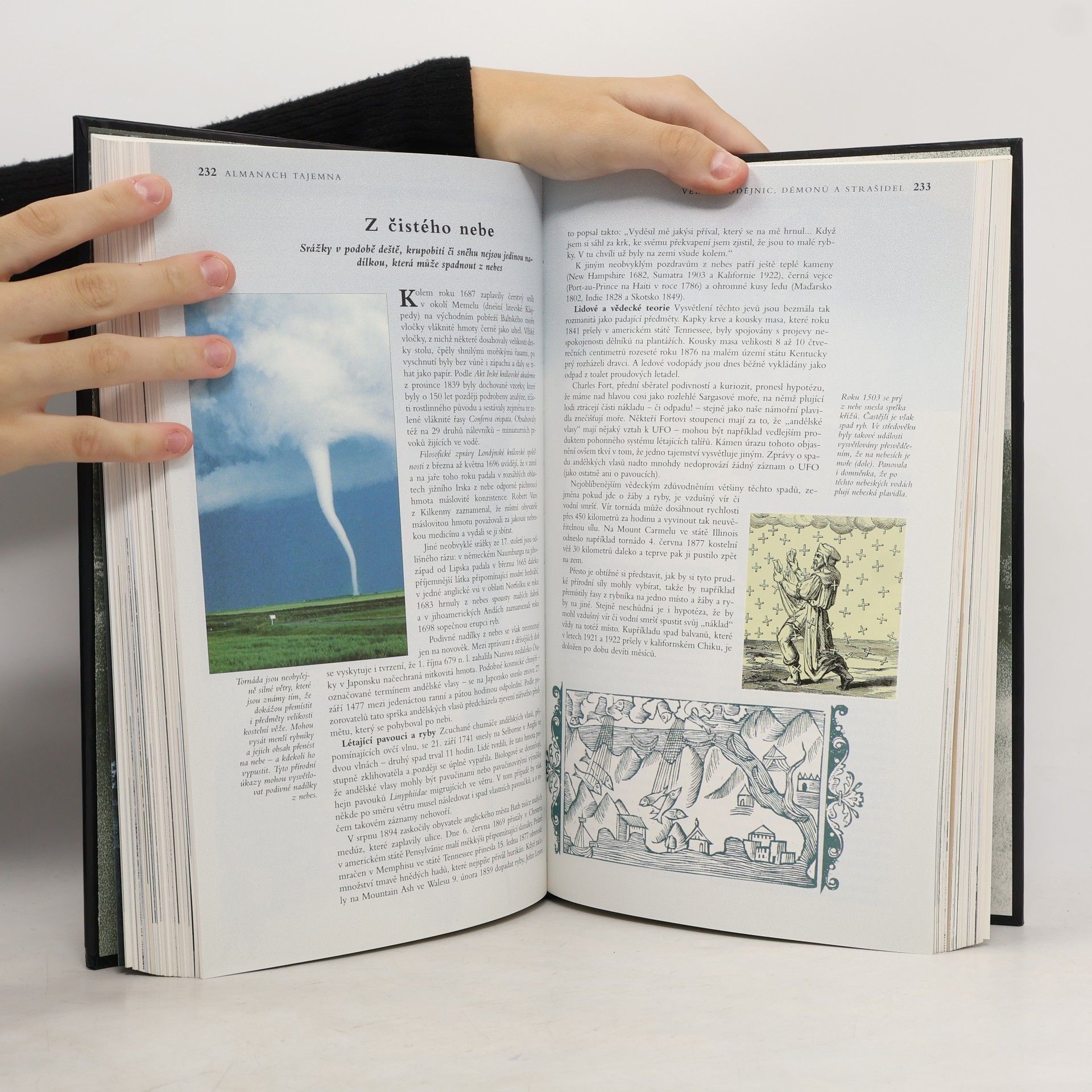 Autorenkollektiv Almanach tajemna