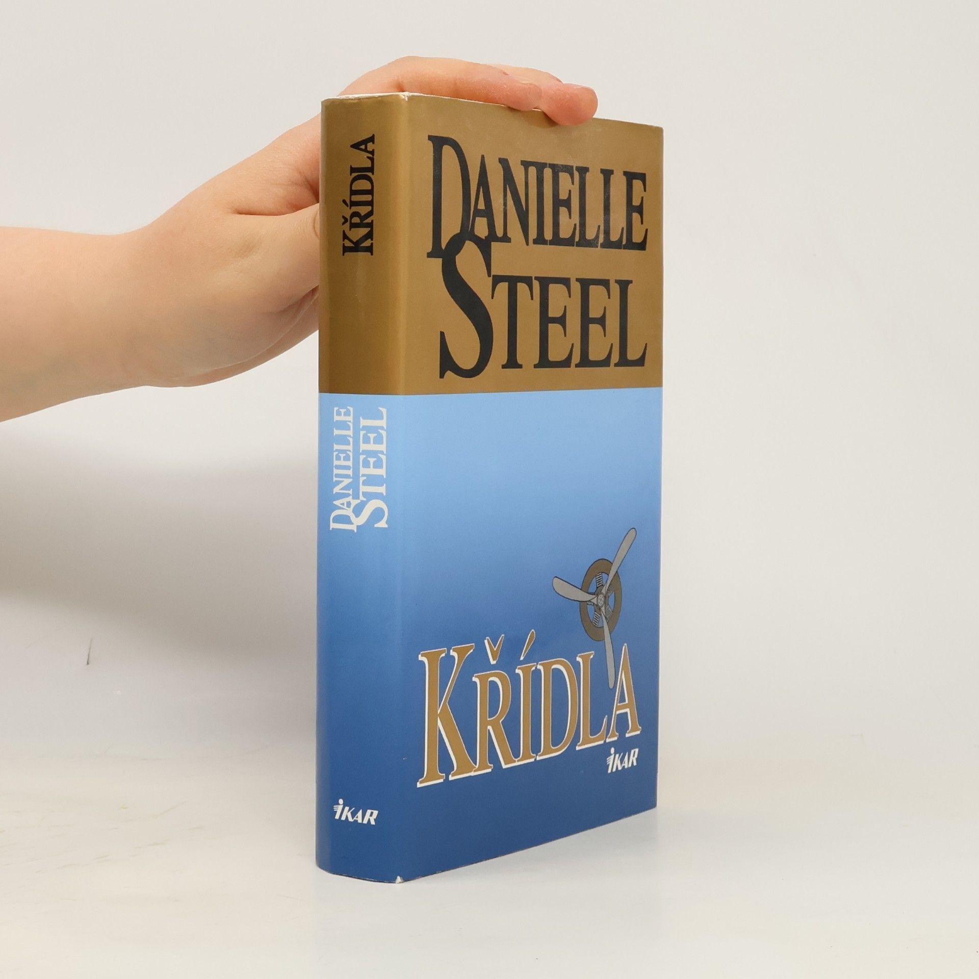 Danielle Steel Křídla
