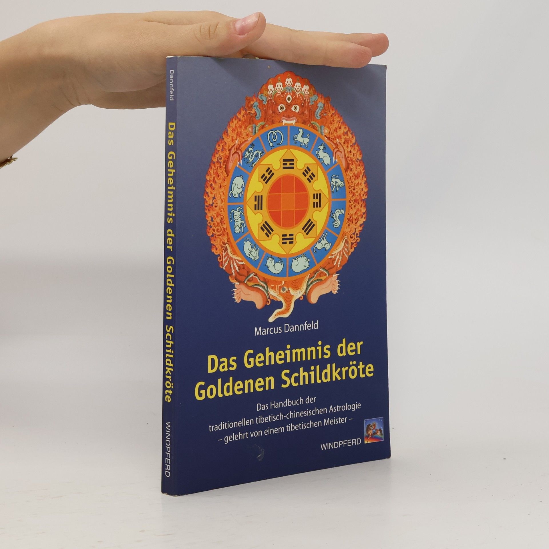 Marcus Dannfeld Das Geheimnis der goldenen Schildkröte
