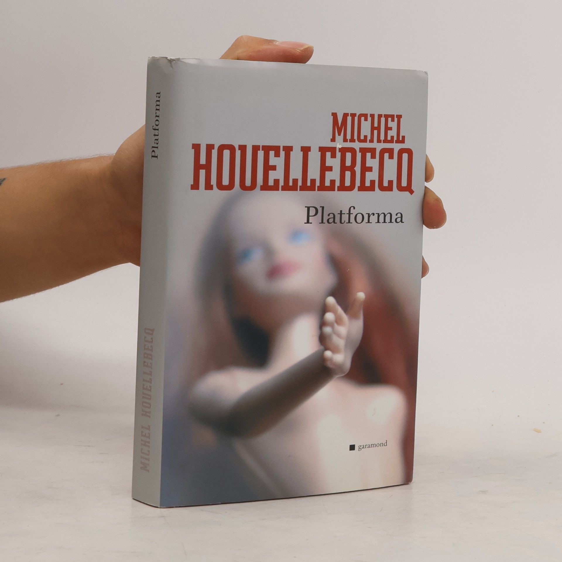 Michel Houellebecq Platforma: Uprostřed světa