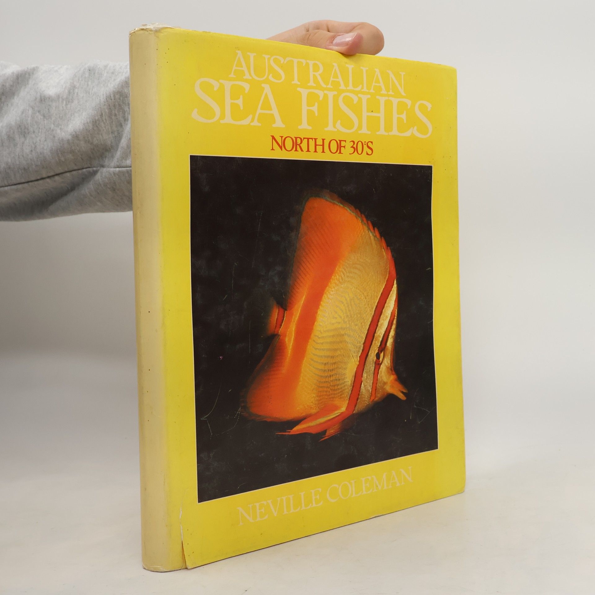 Australian Sea Fishes North of 30*S