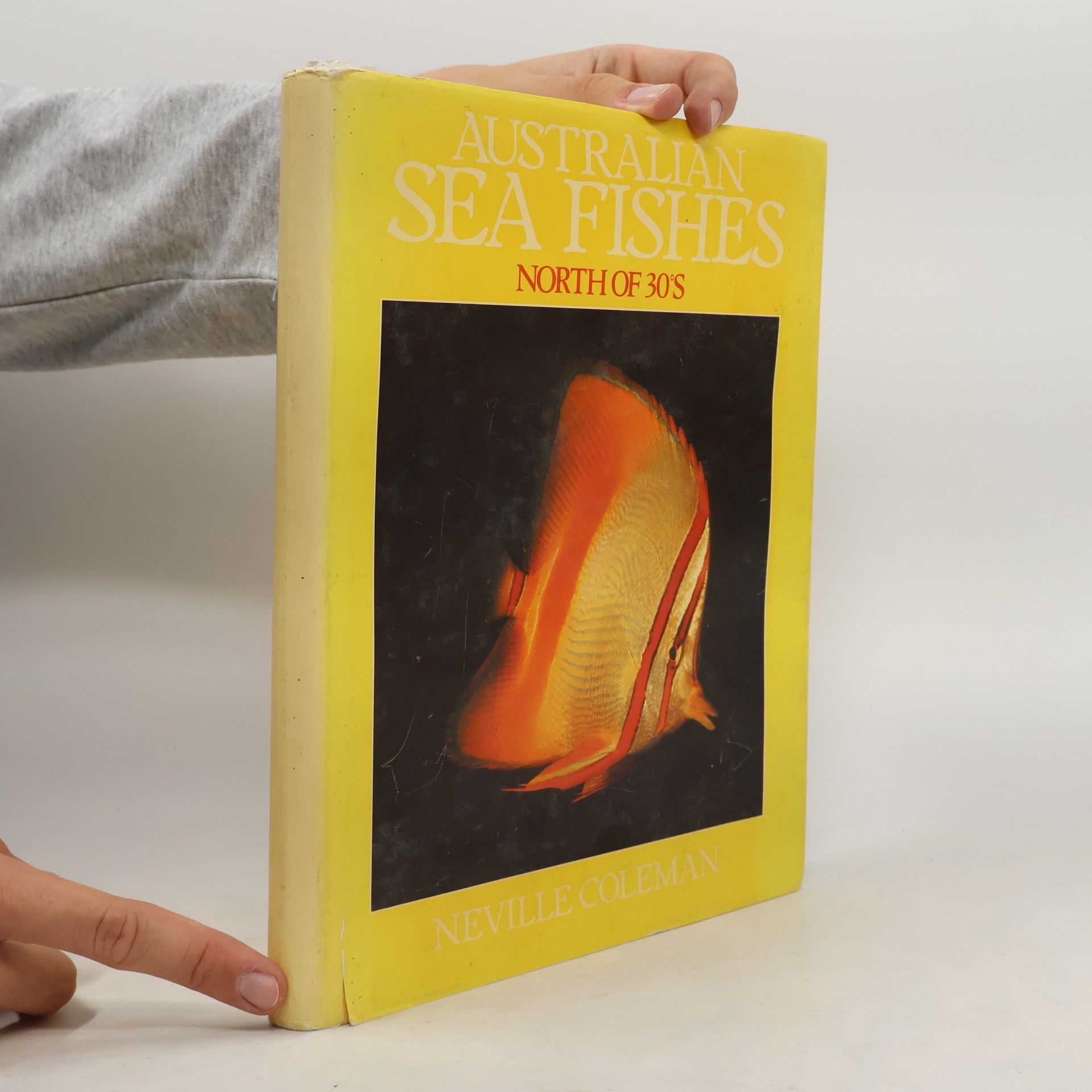 Neville Coleman Australian Sea Fishes North of 30*S