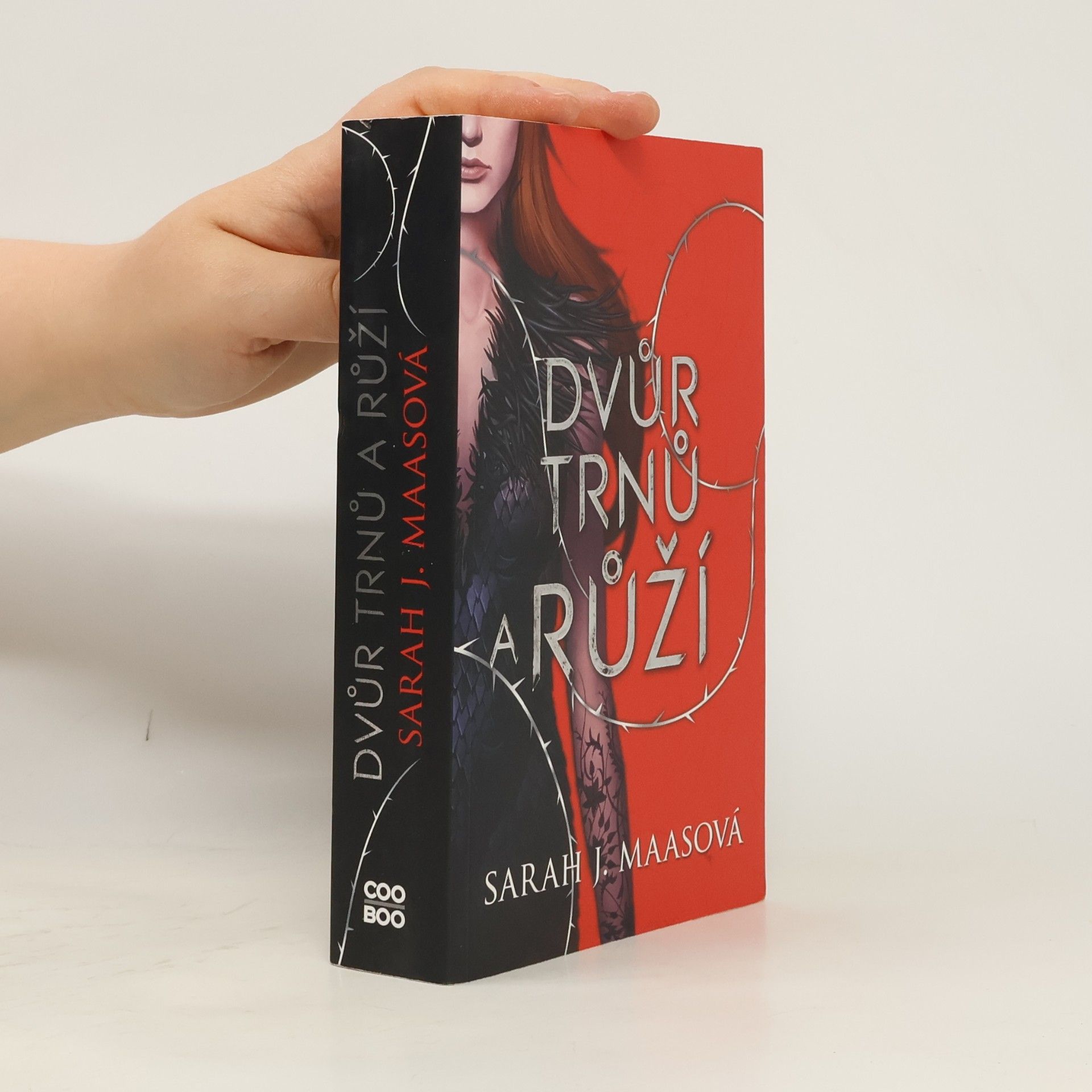 Sarah J. Maas Dvůr trnů a růží