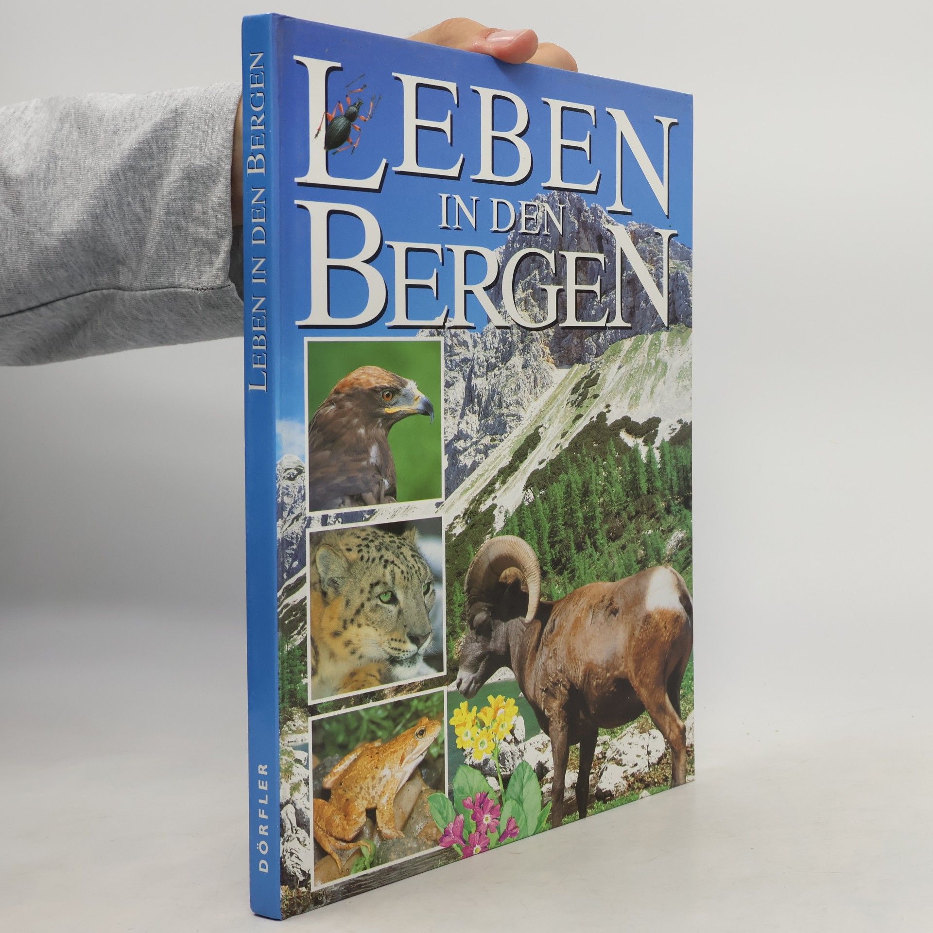 Leben in den Bergen