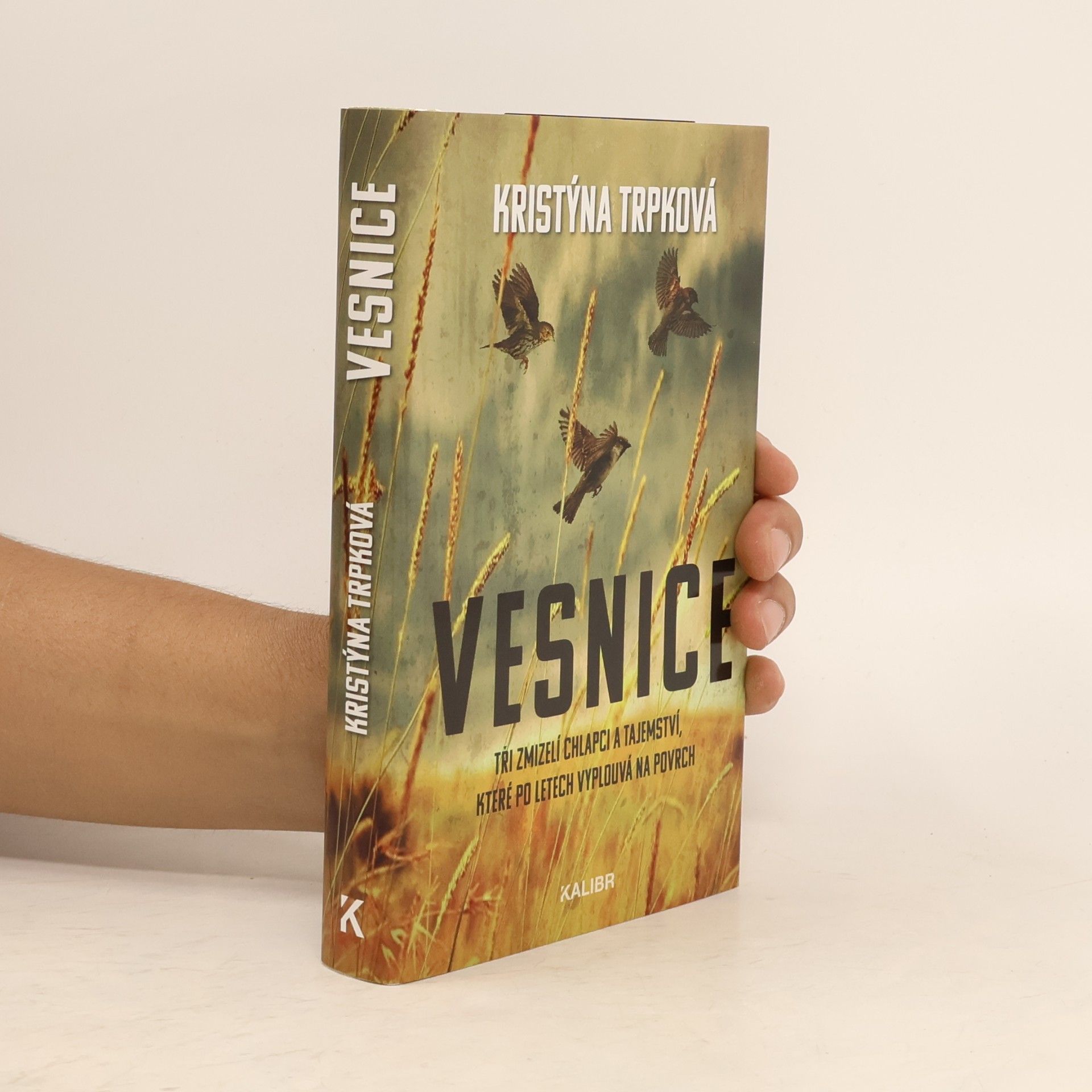Kristýna Trpková Vesnice