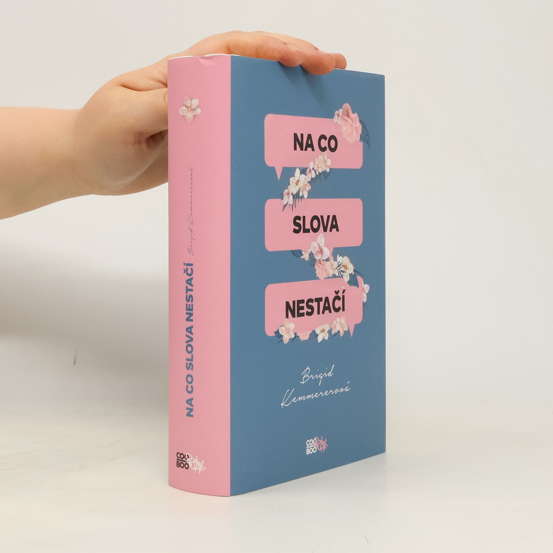 Brigid Kemmerer Na co slova nestačí