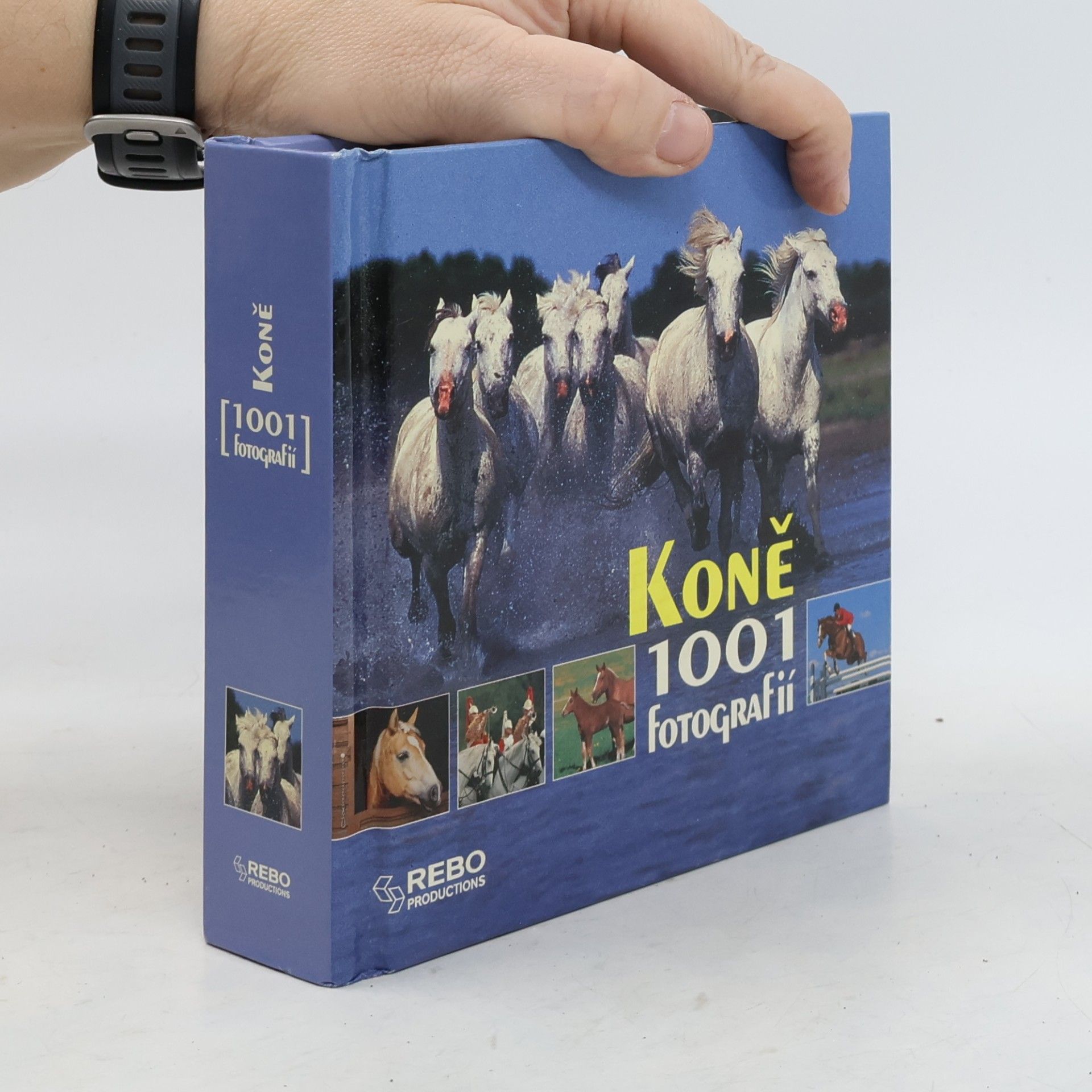 Autorenkollektiv Koně. 1001 fotografií