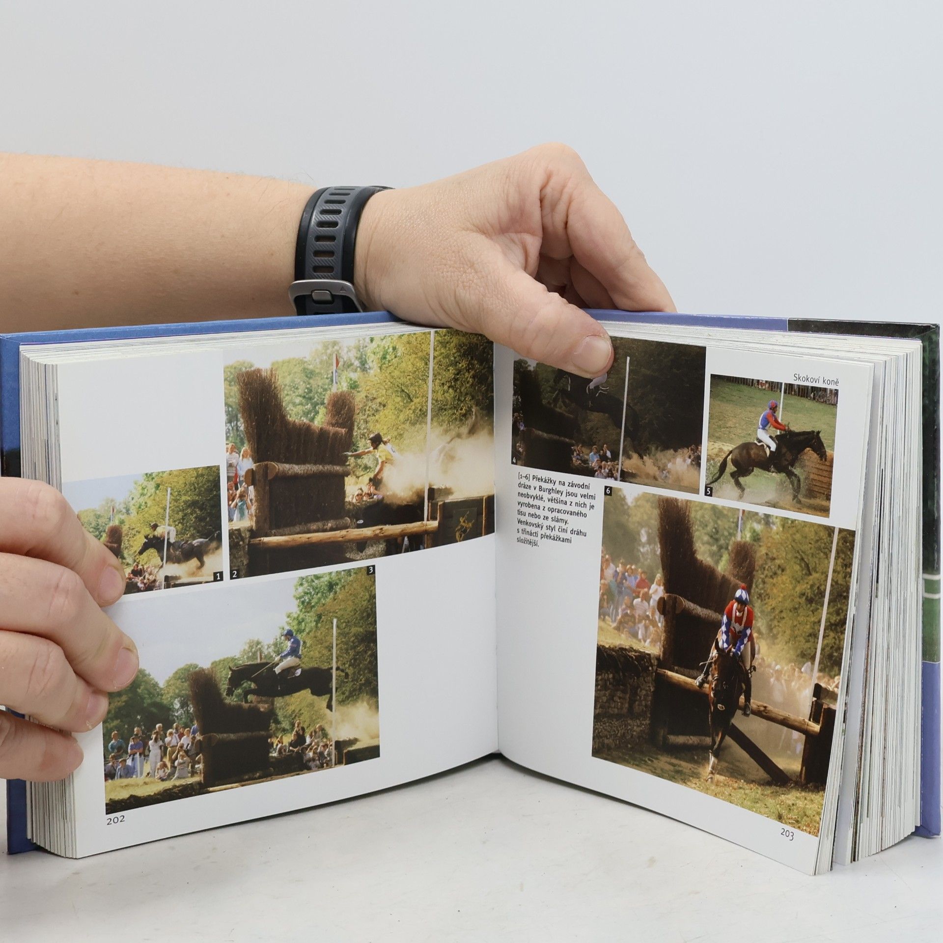 Autorenkollektiv Koně. 1001 fotografií