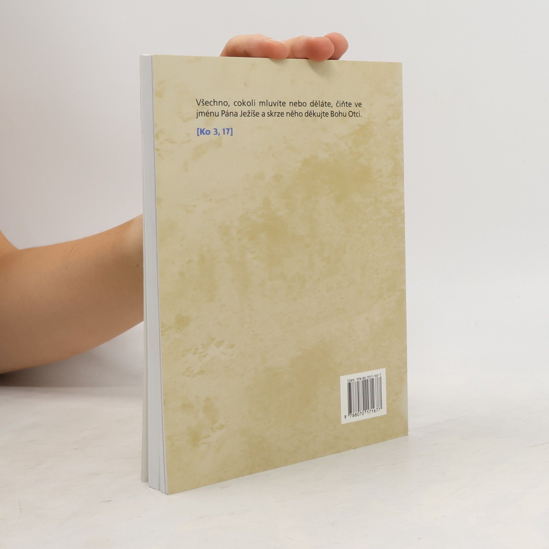kolektiv Společné čtení na každý den 2013. Úvahy nad biblickými texty.