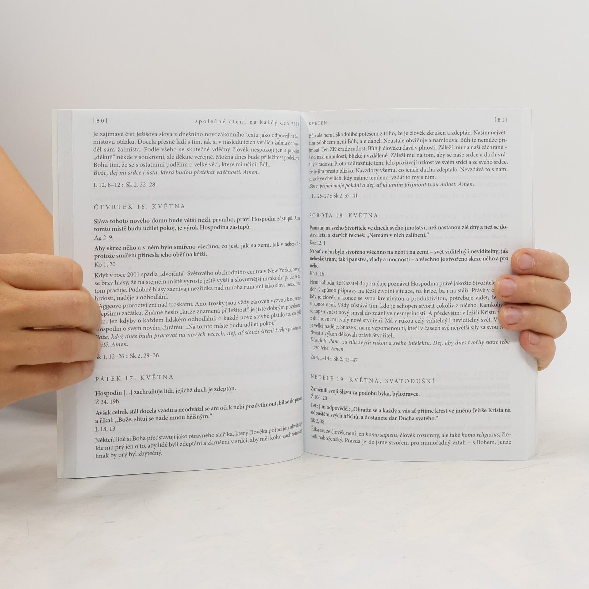 kolektiv Společné čtení na každý den 2013. Úvahy nad biblickými texty.