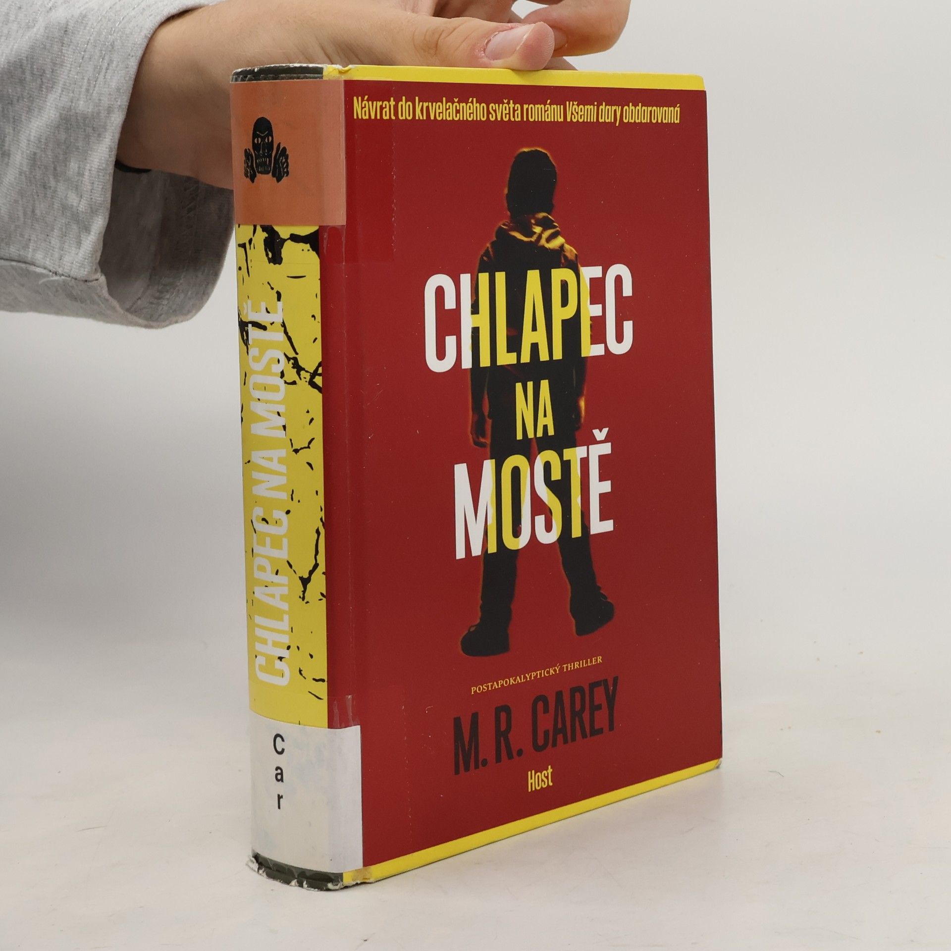 M. R. Carey Chlapec na mostě