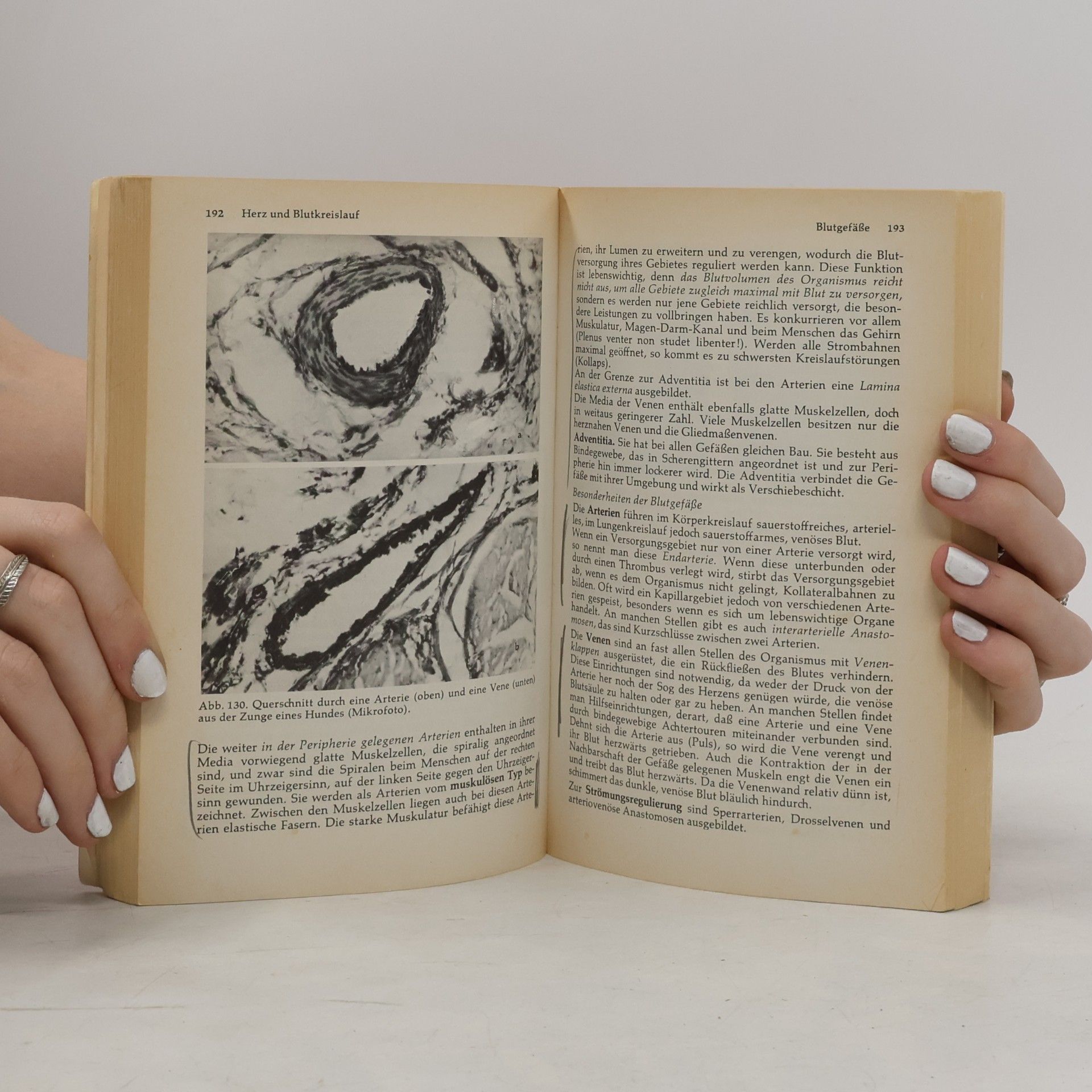Klaus Loeffler Anatomie und Physiologie der Haustiere