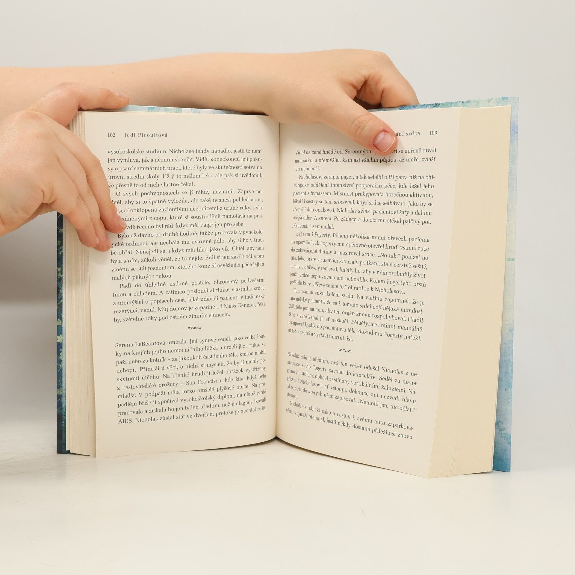 Jodi Picoult Odebírání srdce