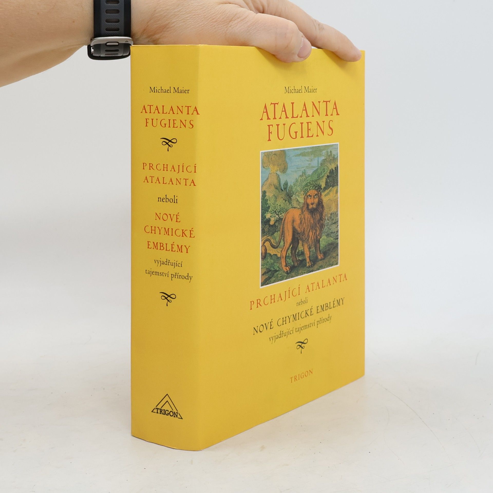 Prchající Atalanta
