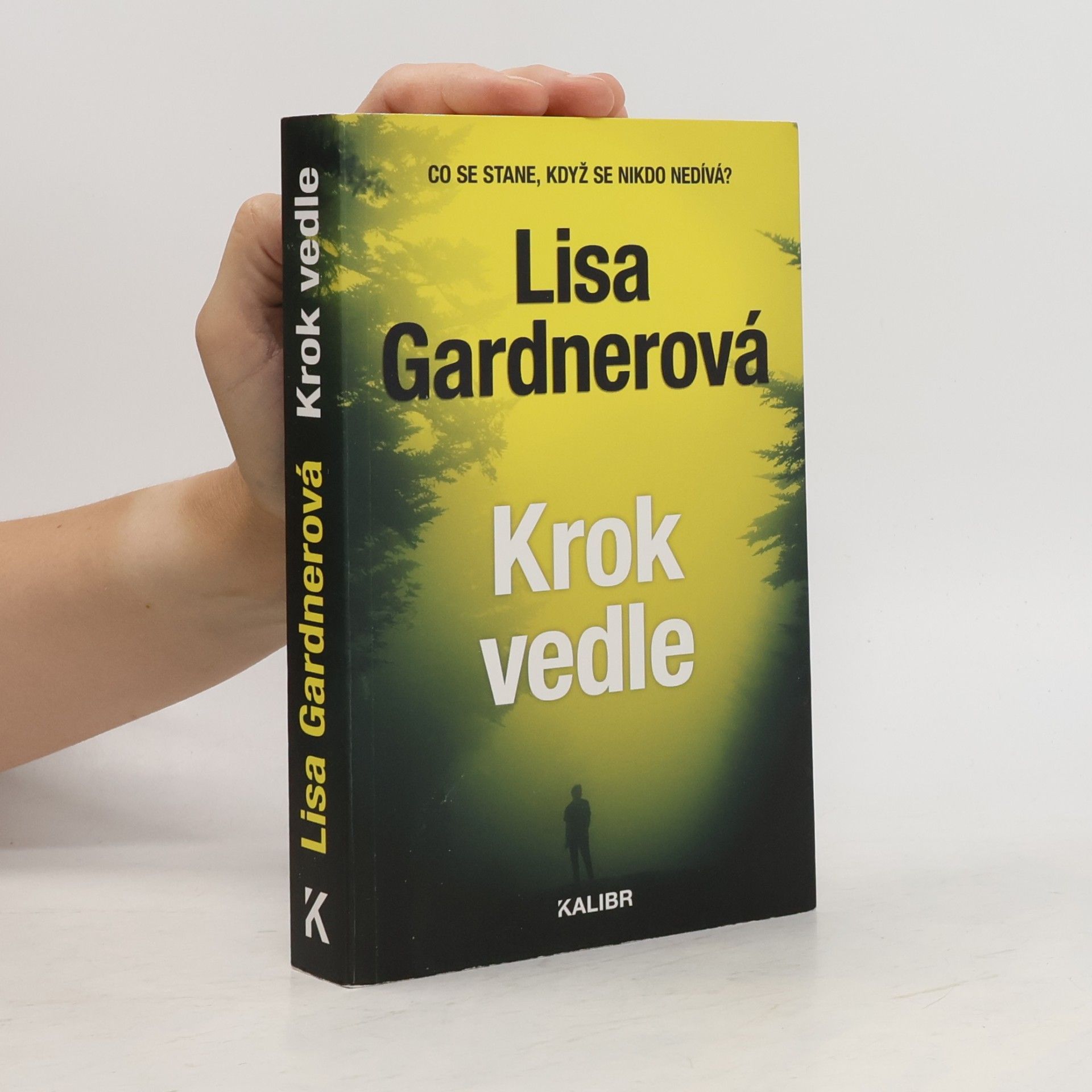 Lisa Gardner Krok vedle
