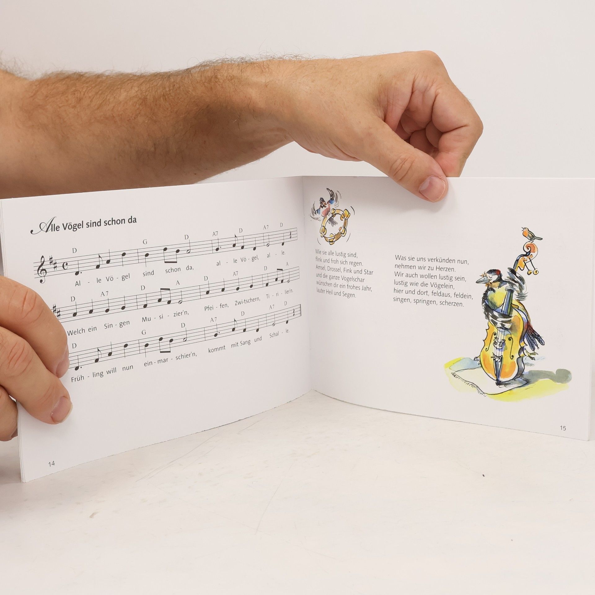 kolektiv Beliebte Lieder zum Mitsingen