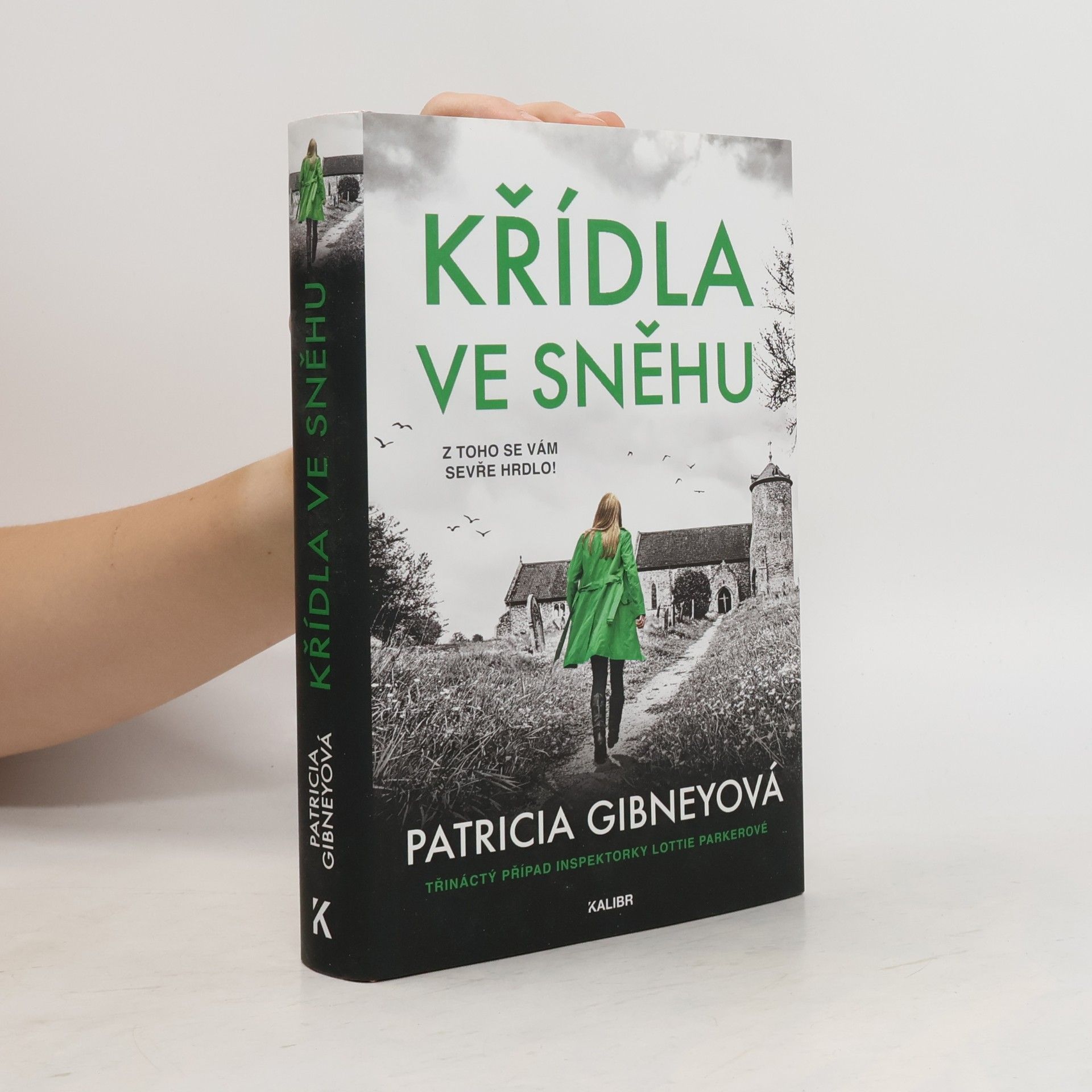 Křídla ve sněhu