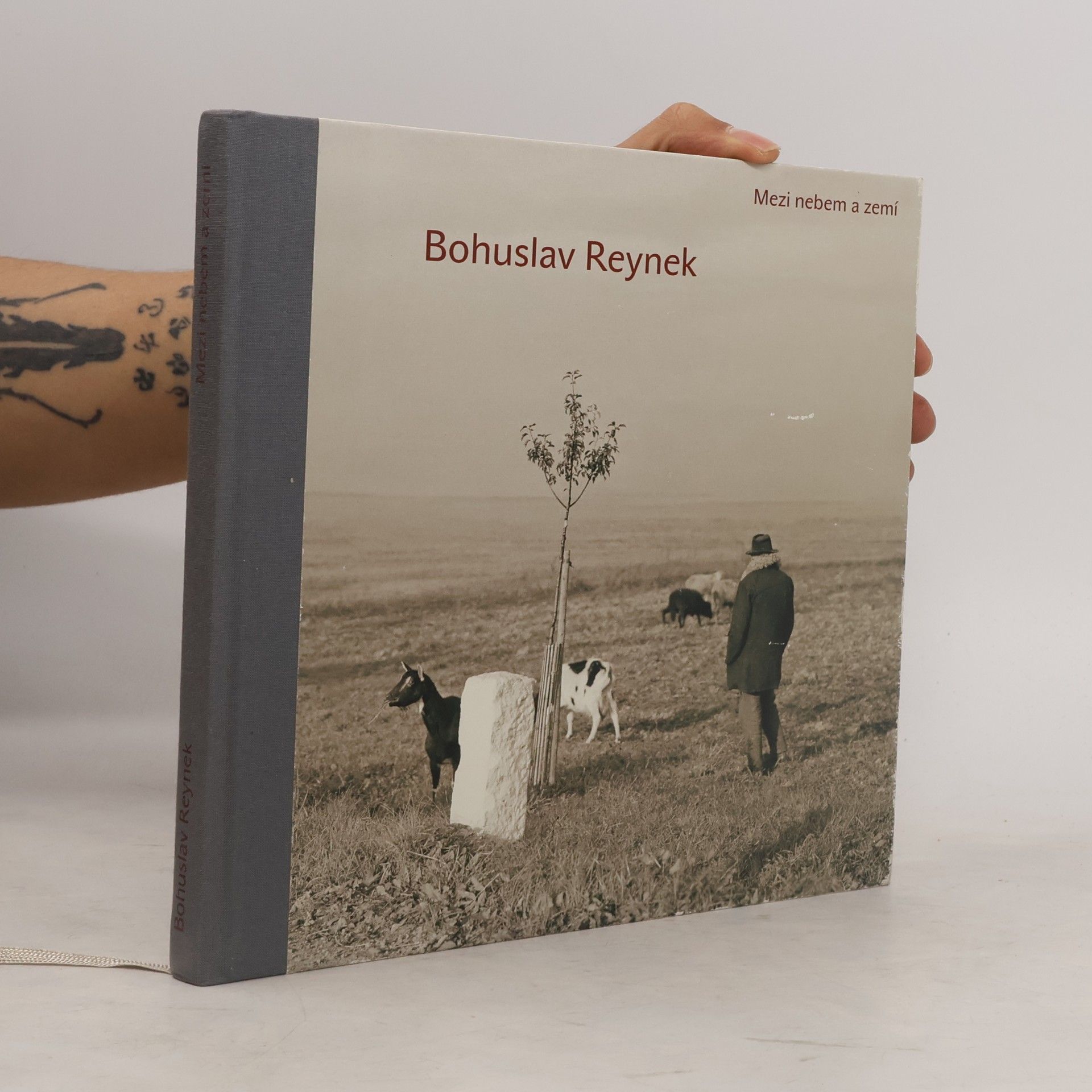 Bohuslav Reynek : mezi nebem a zemí