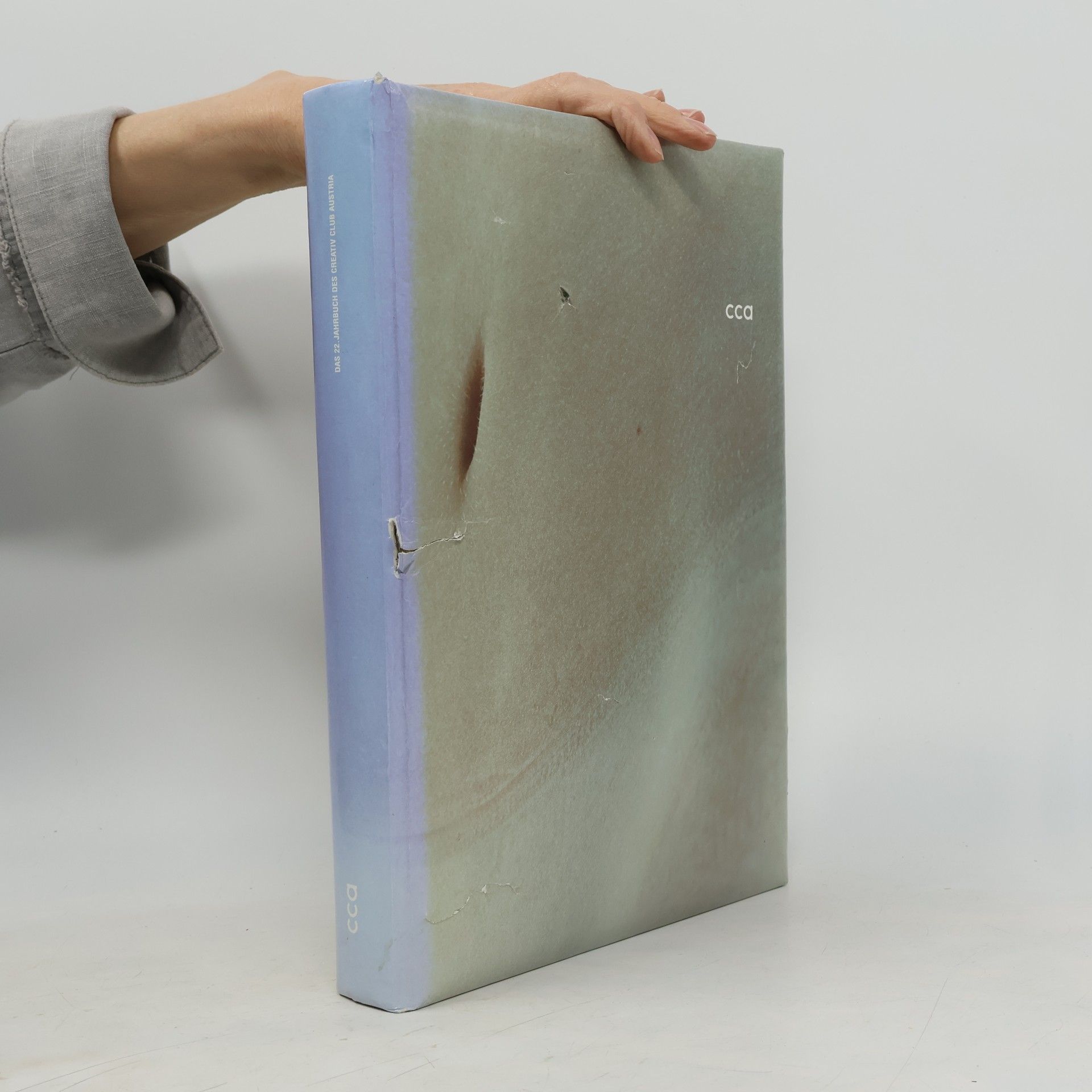 Autorenkollektiv Das 22. Jahrbuch des Creativ Club Austria