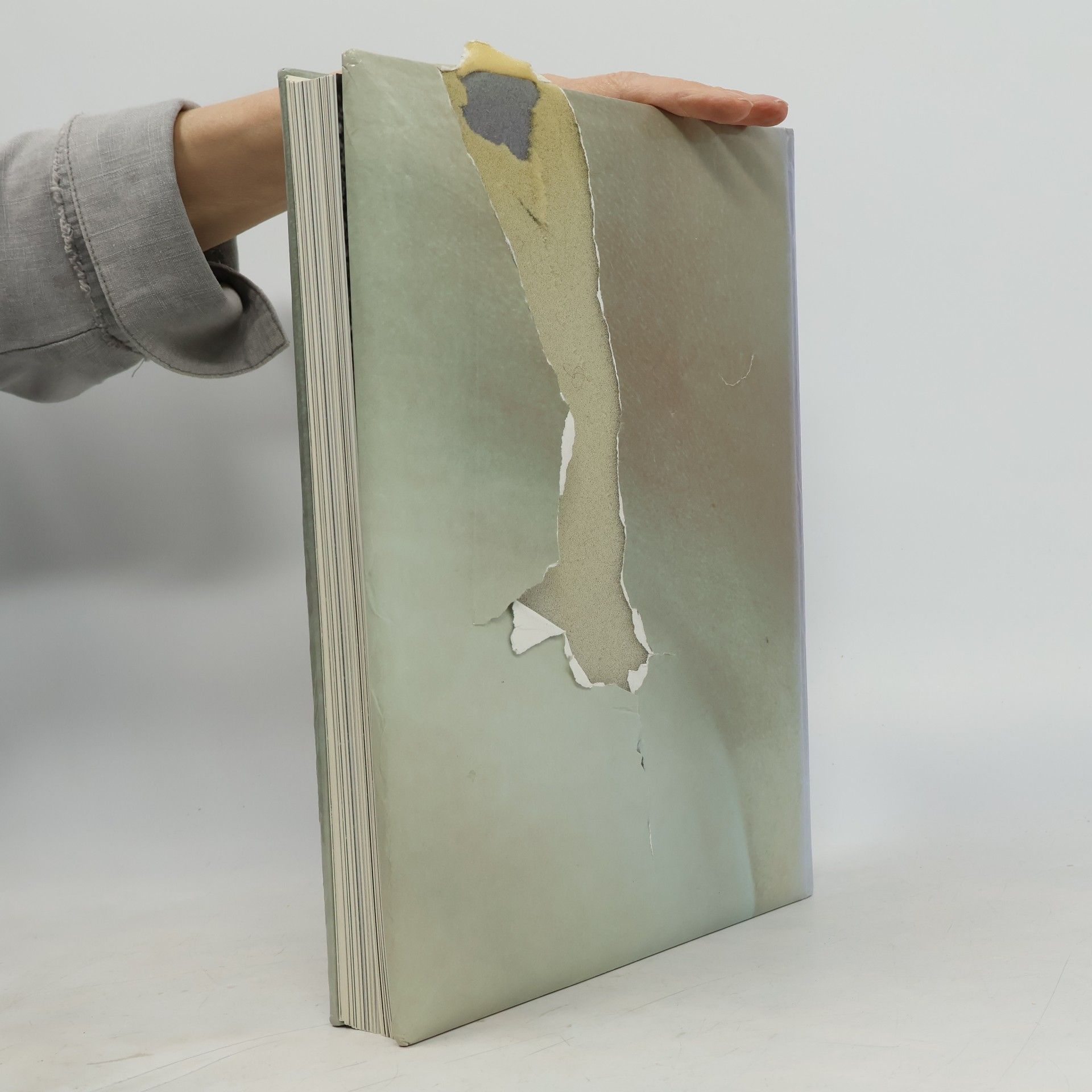 Autorenkollektiv Das 22. Jahrbuch des Creativ Club Austria