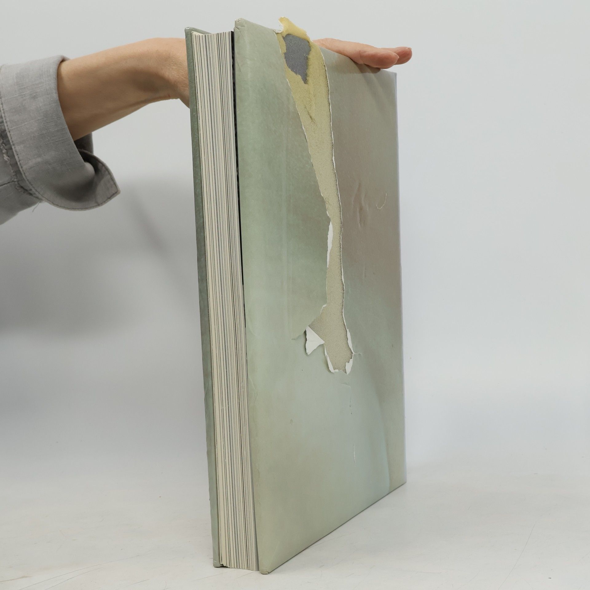 Autorenkollektiv Das 22. Jahrbuch des Creativ Club Austria