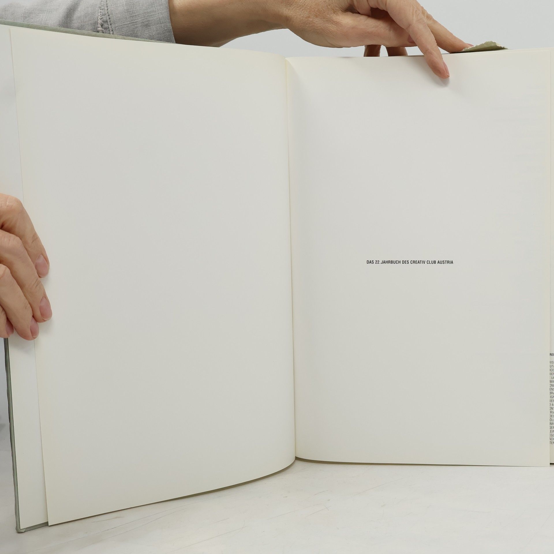 Autorenkollektiv Das 22. Jahrbuch des Creativ Club Austria