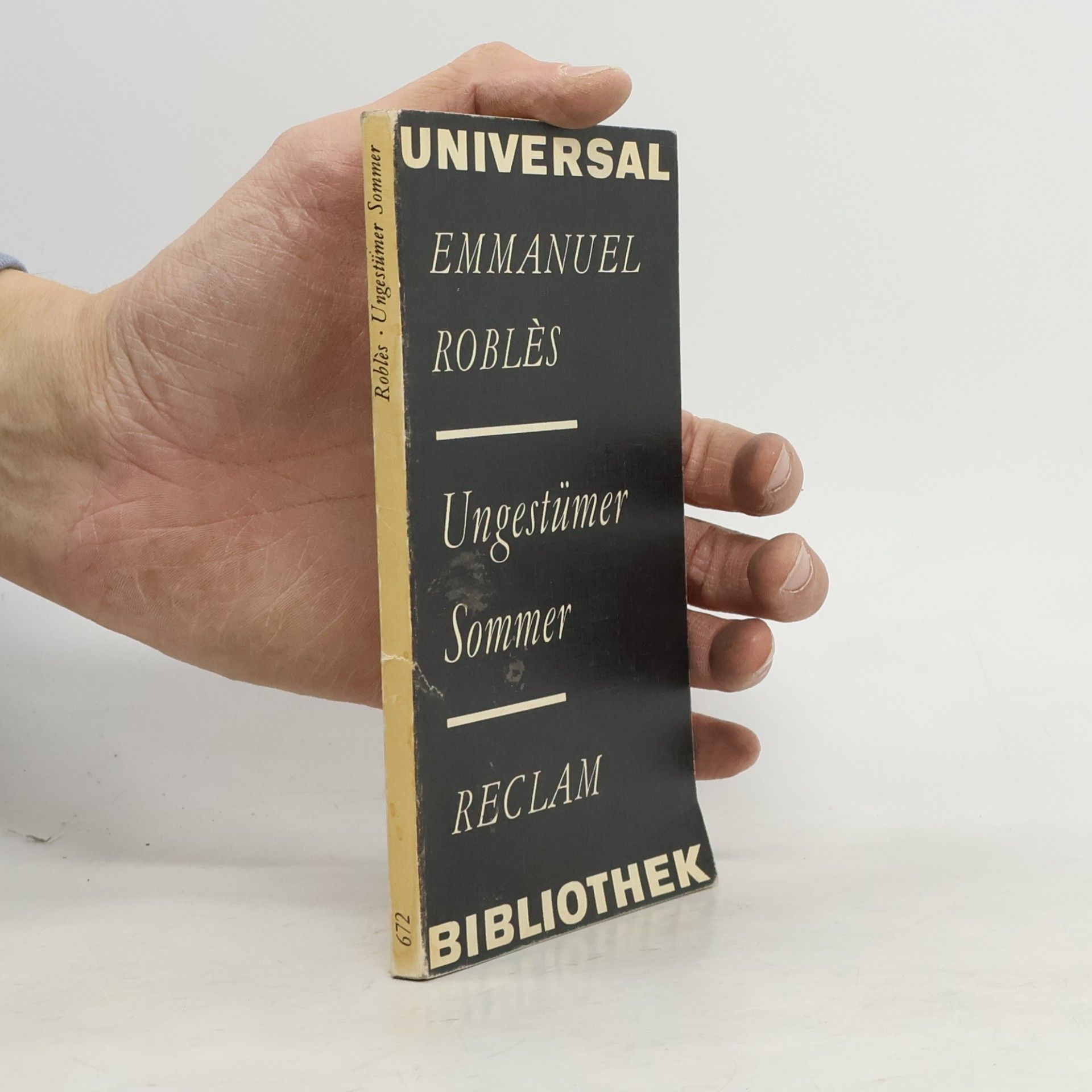 Emmanuel Roblès Ungestümer Sommer