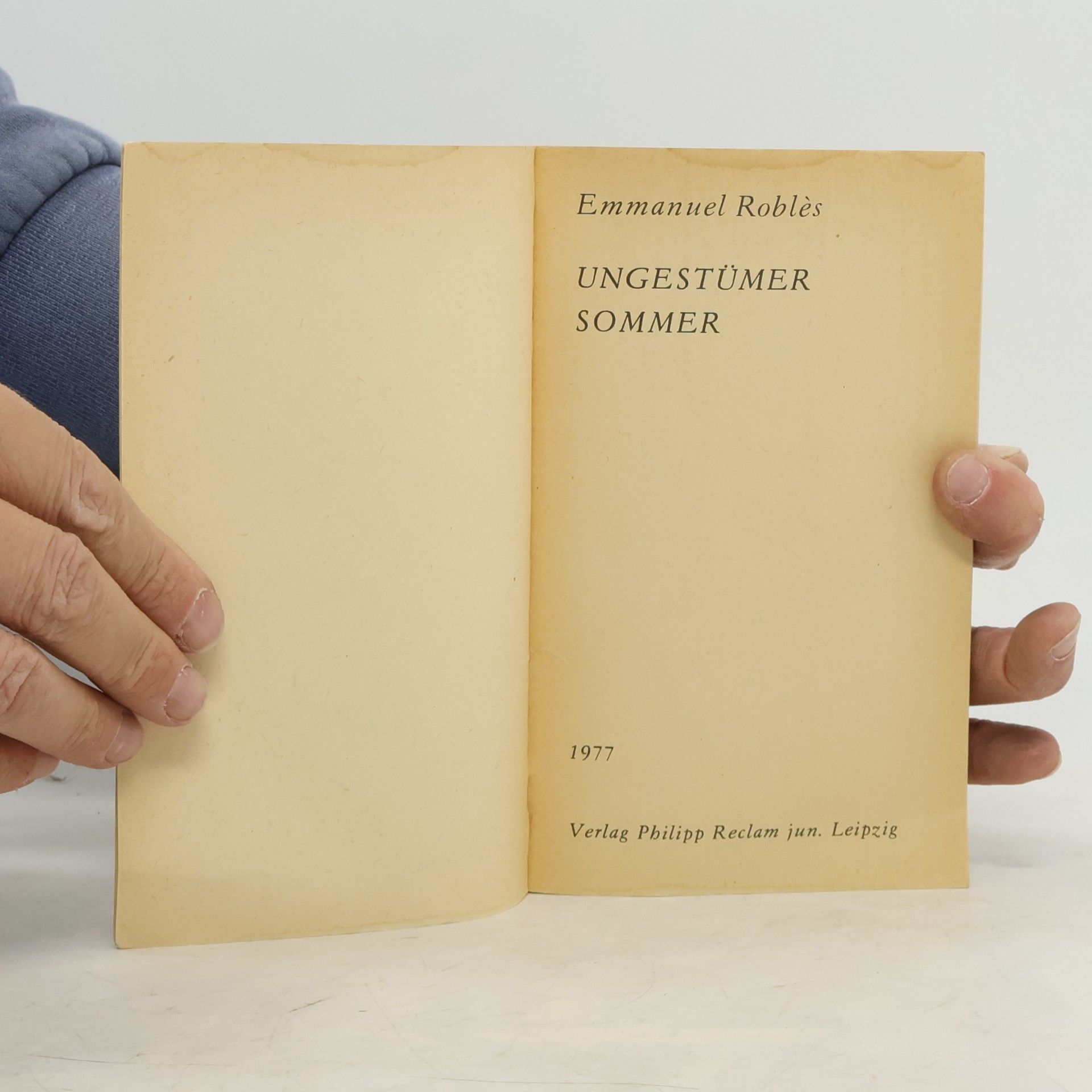 Emmanuel Roblès Ungestümer Sommer
