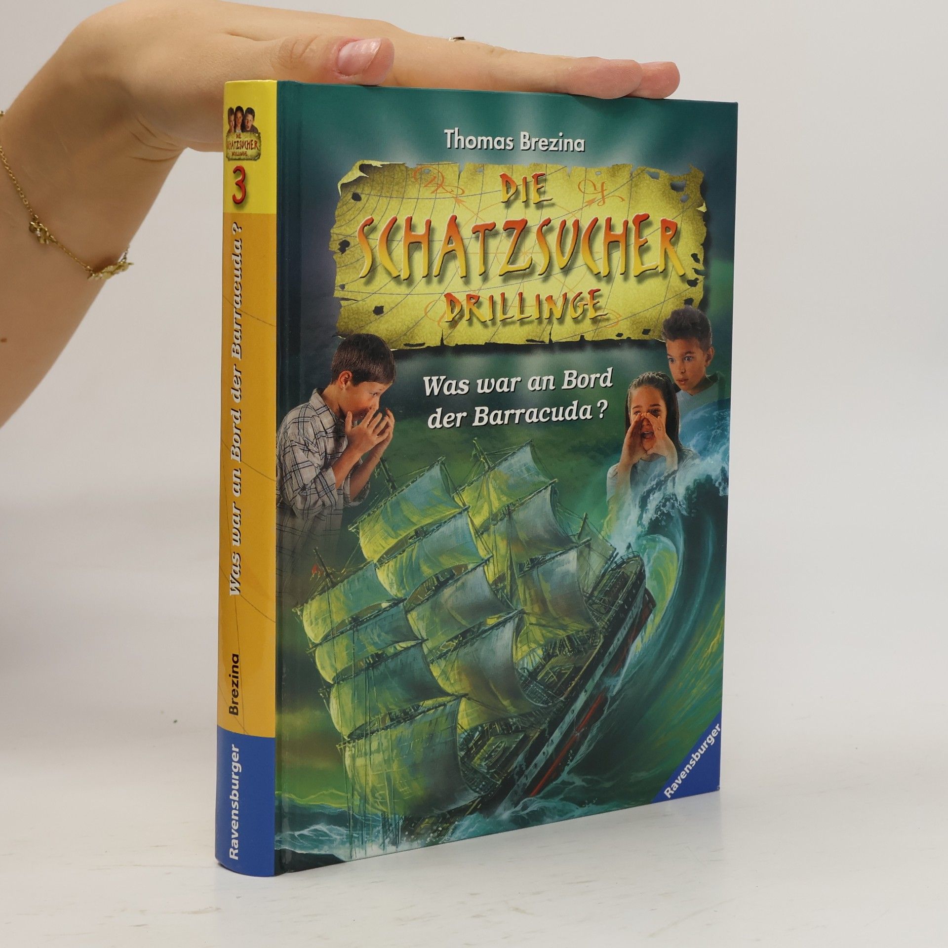 Thomas Brezina Die Schatzsucher-Drillinge