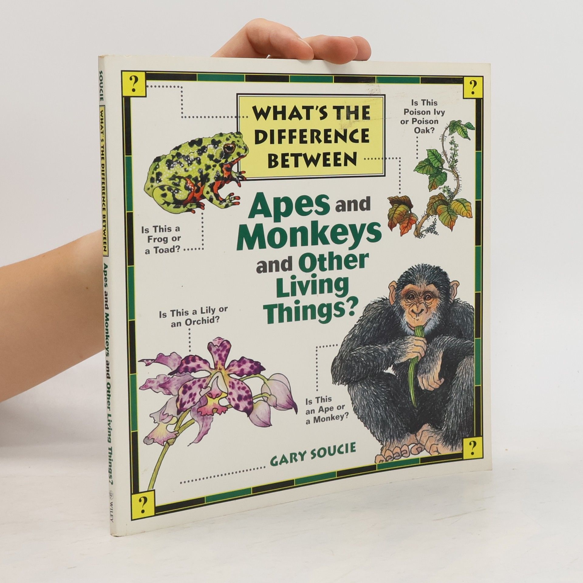 Jeff Domm What's the difference between apes and monkeys and other living things?