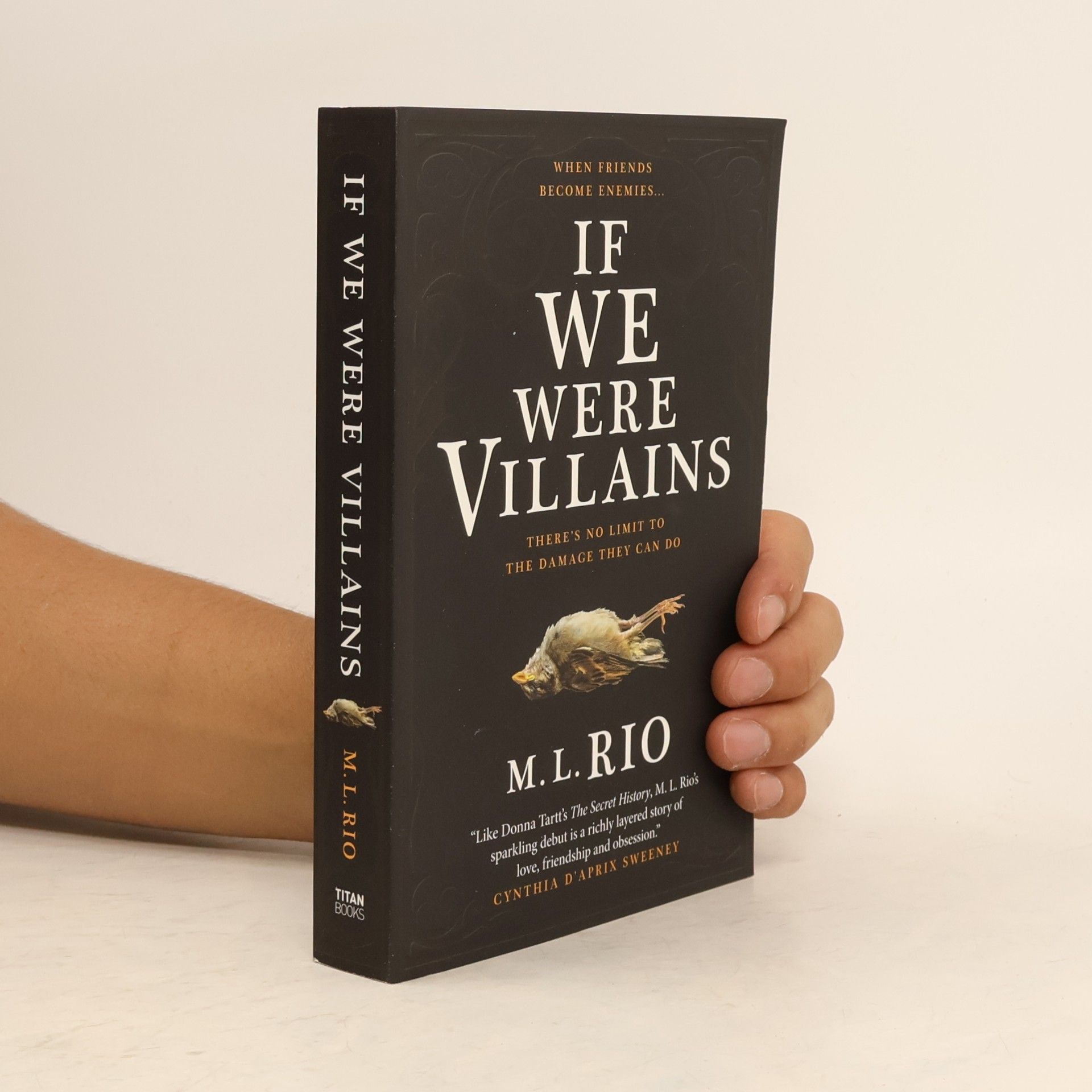 M. L. Rio If We Were Villains