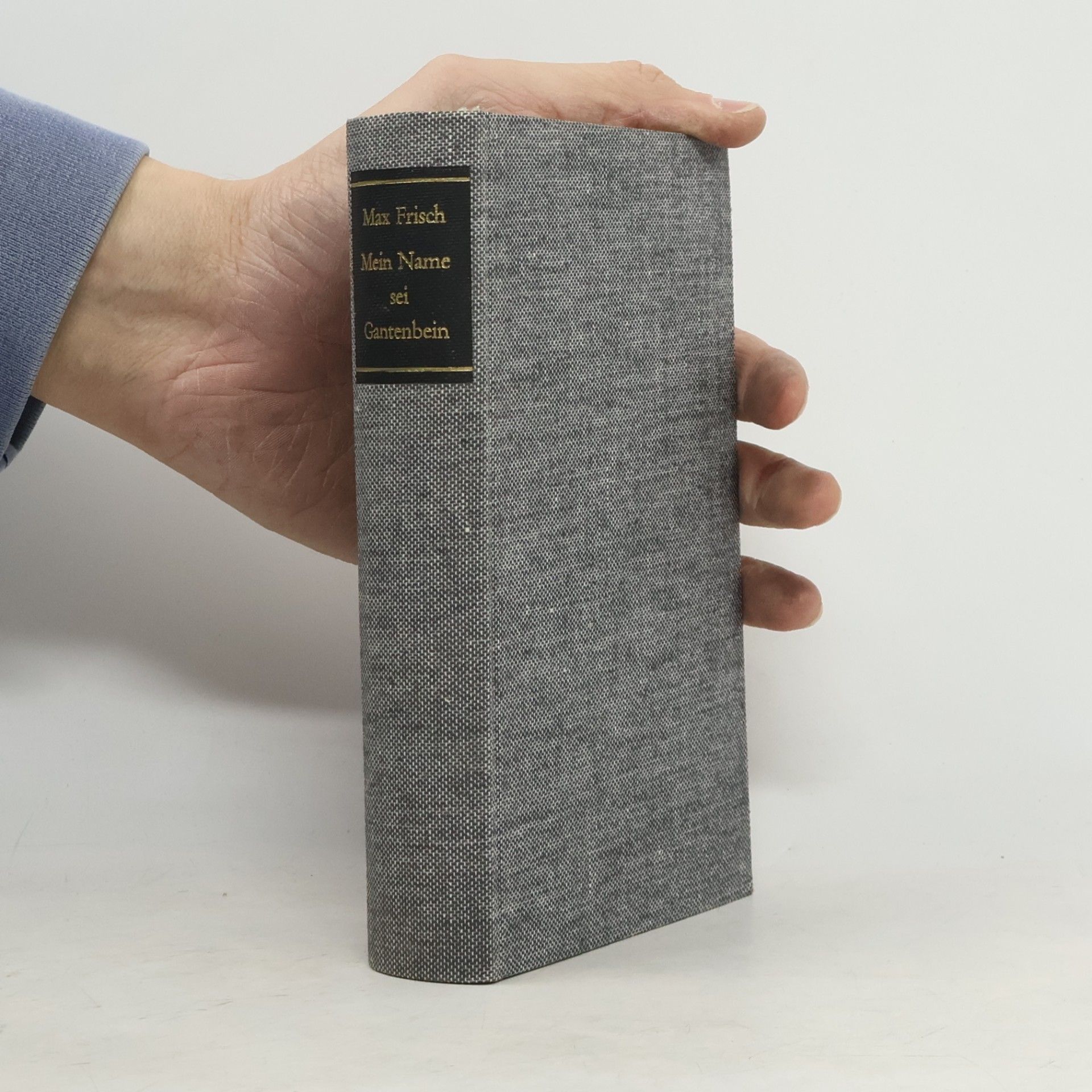 Max Frisch Mein Name sei Gantenbein