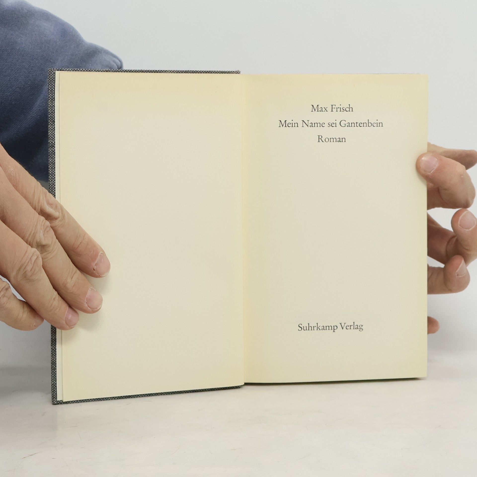Max Frisch Mein Name sei Gantenbein