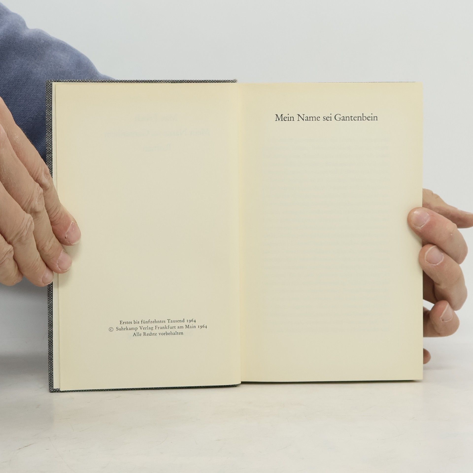 Max Frisch Mein Name sei Gantenbein