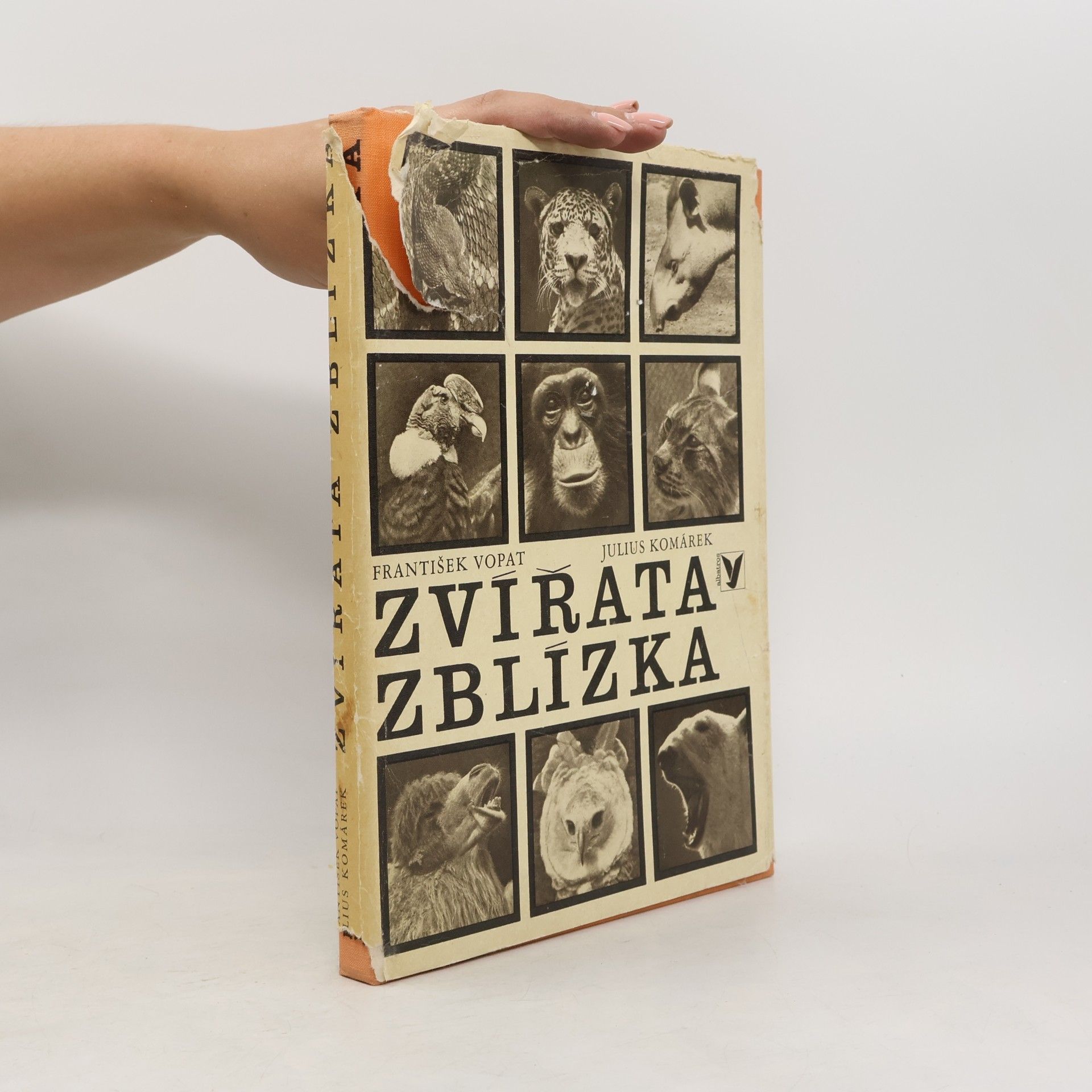 František Vopat Zvířata zblízka