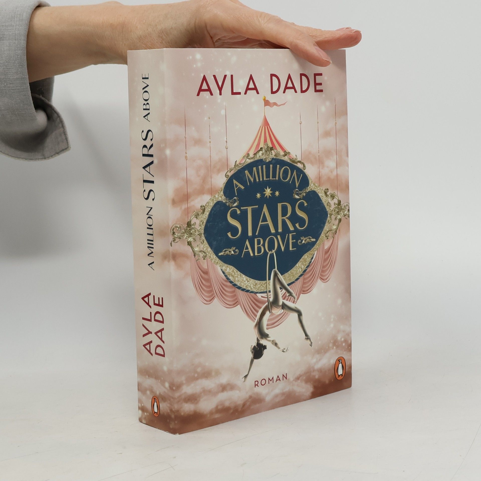 Ayla Dade A Million Stars Above / Sky Circus Bd.1