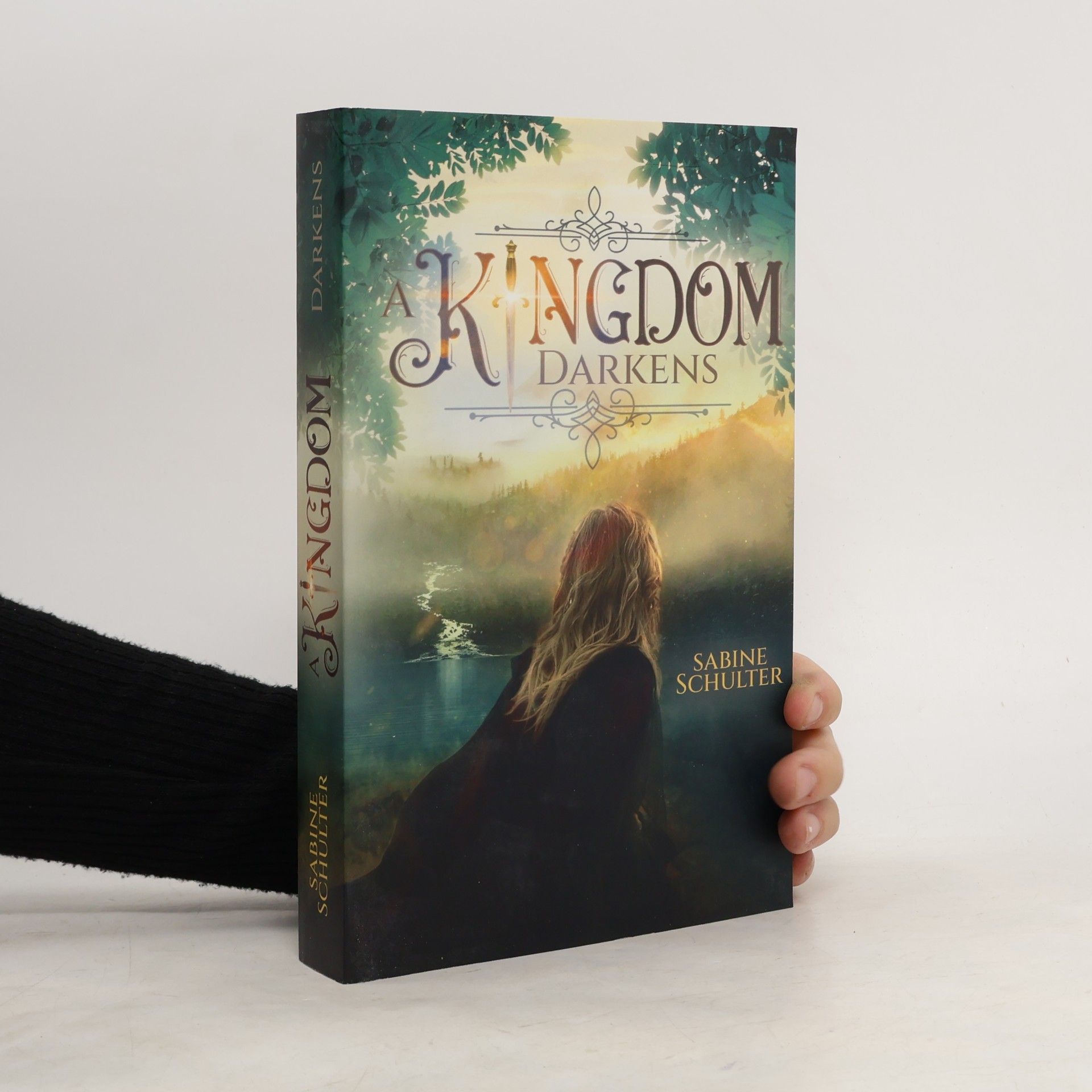 Sabine Schulter A Kingdom Darkens (Kampf um Mederia 1)
