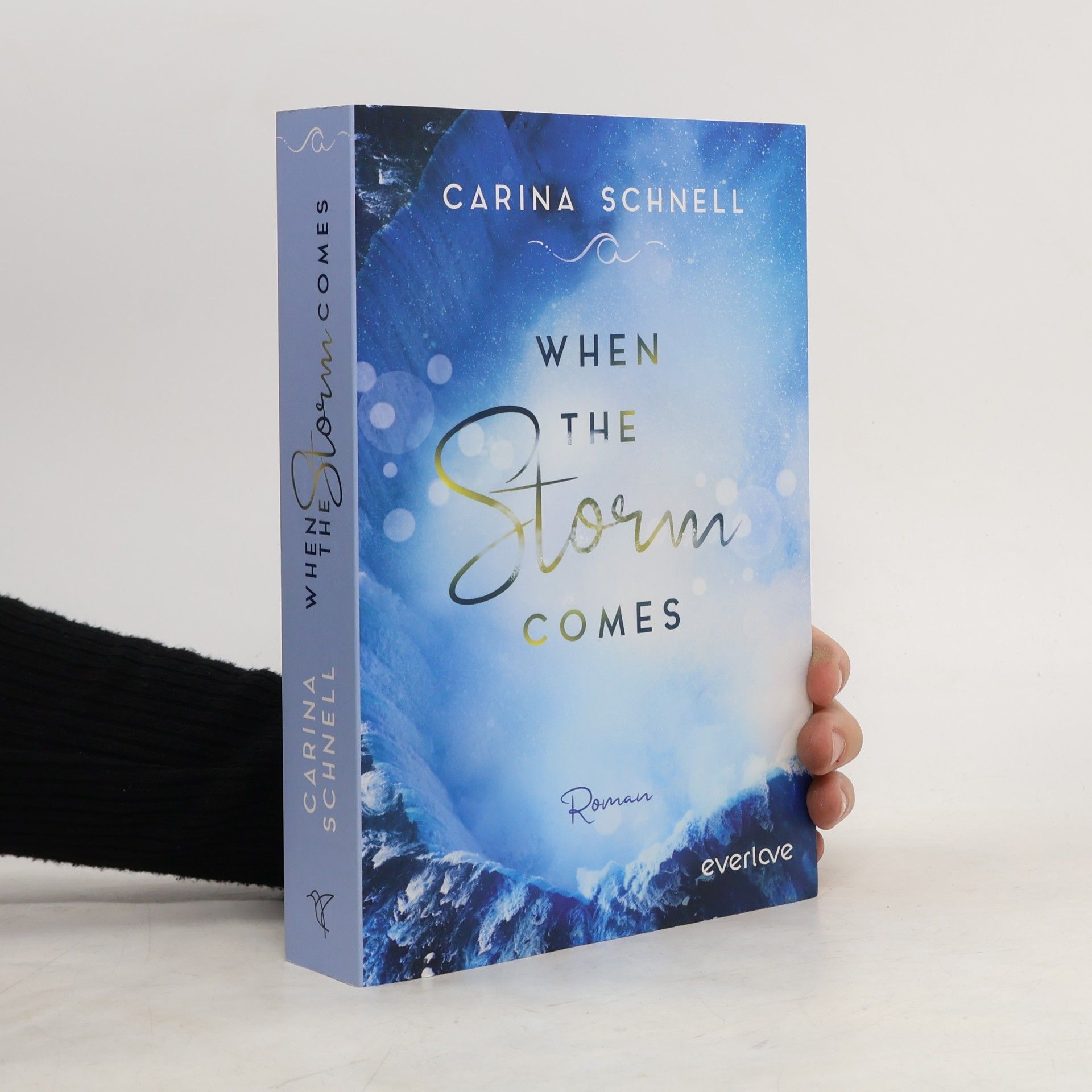 Karina Schnell When the storm comes