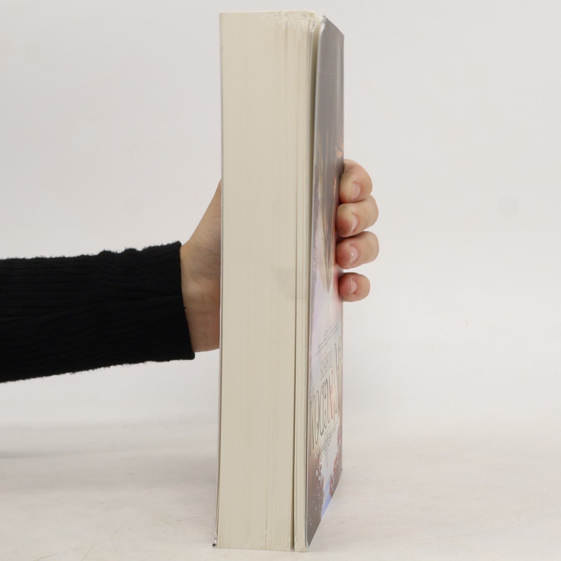 Sabine Schulter A Kingdom Resists (Kampf um Mederia 2)