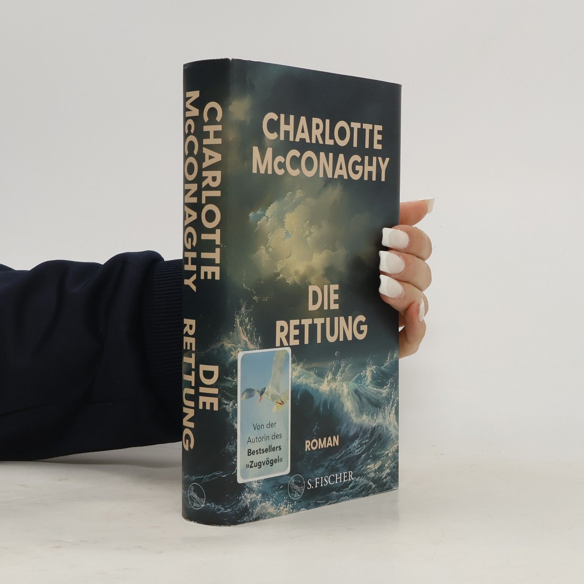 CHARLOTTE. MCCONAGHY Die Rettung